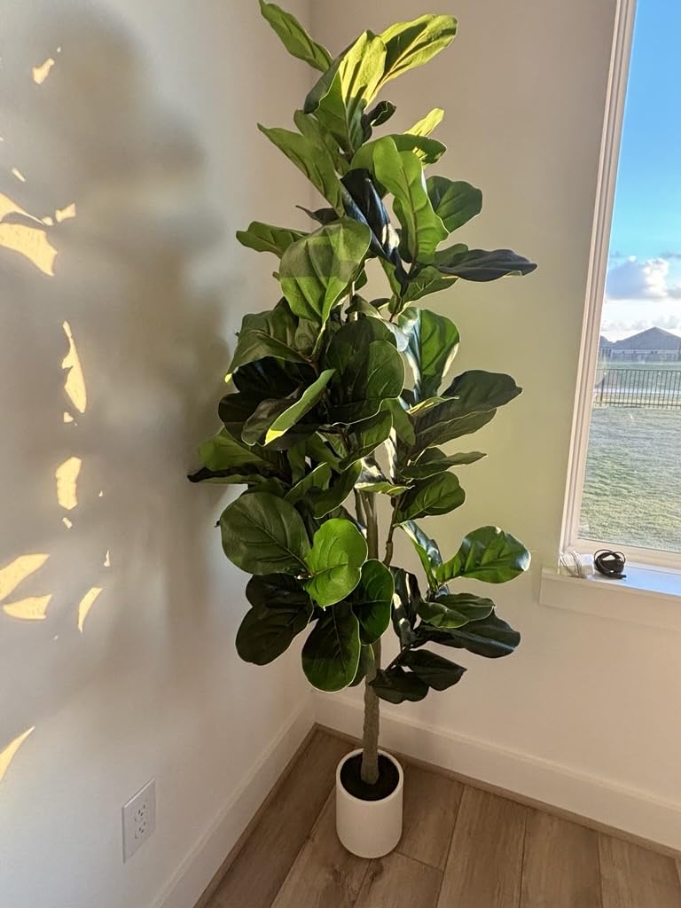 VIVATREES 6FT Fiddle Leaf Fig Artificial Tree with White Planter Pot, Faux Floor Plant, Indoor and Outdoor Fake Plants for Home Office Decor customer photo 2