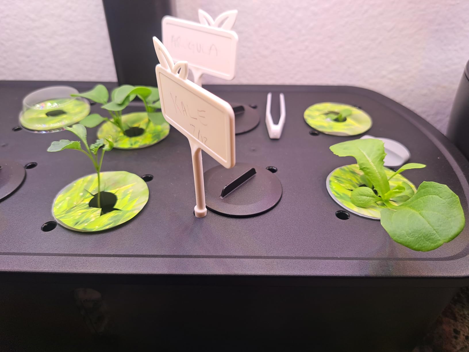 LETPOT LPH-Lite Hydroponics Growing System, 12 Pods Smart Herb Garden Kit Indoor, Indoor Garden, APP & WiFi Controlled, with 24W Growing LED, 5.5L Water Tank, Pump System, Automatic Timer customer photo 1