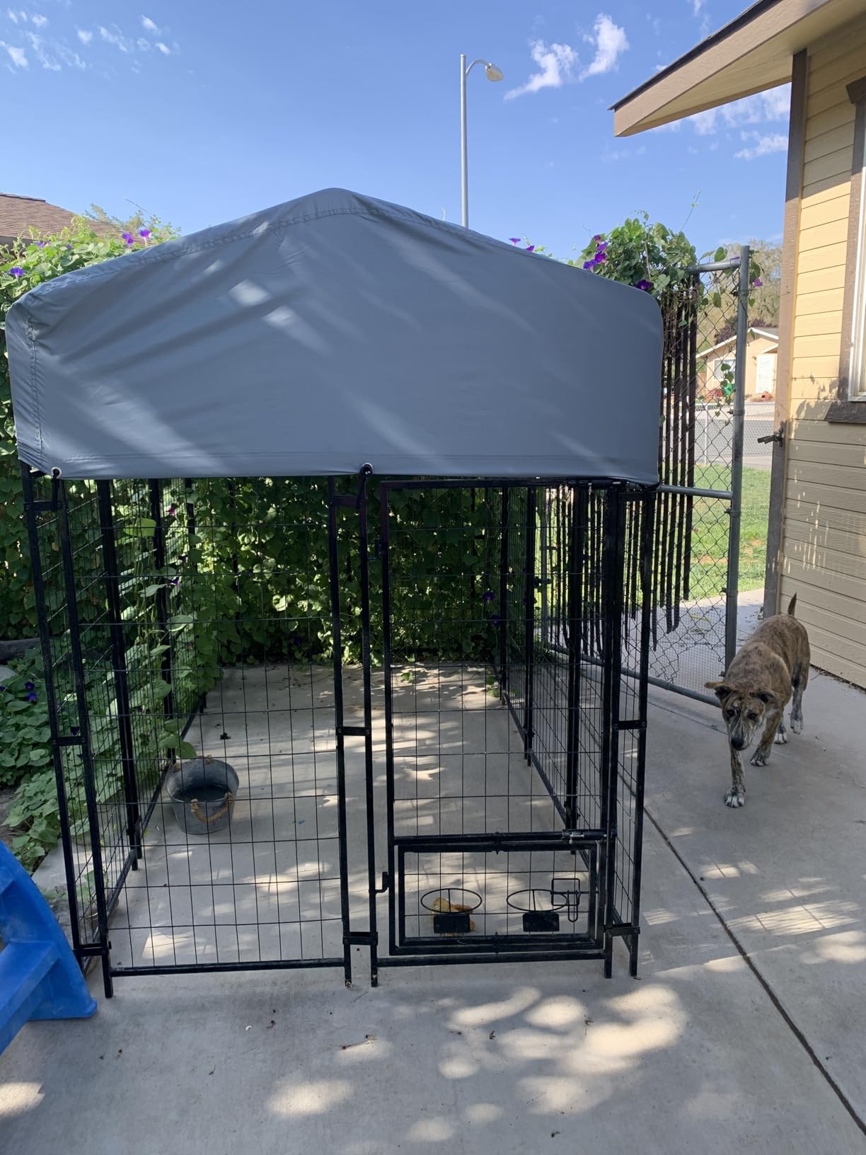 8x4x6 FT Outdoor Dog Kennels for Large Dogs, Heavy Duty Welded Wire Steel Outside Dog Kennel with Roof, Dog Pens with 2 Rotating Dog Bowls, Dog Playpen Fence with Secure Lock for Backyard customer photo 2