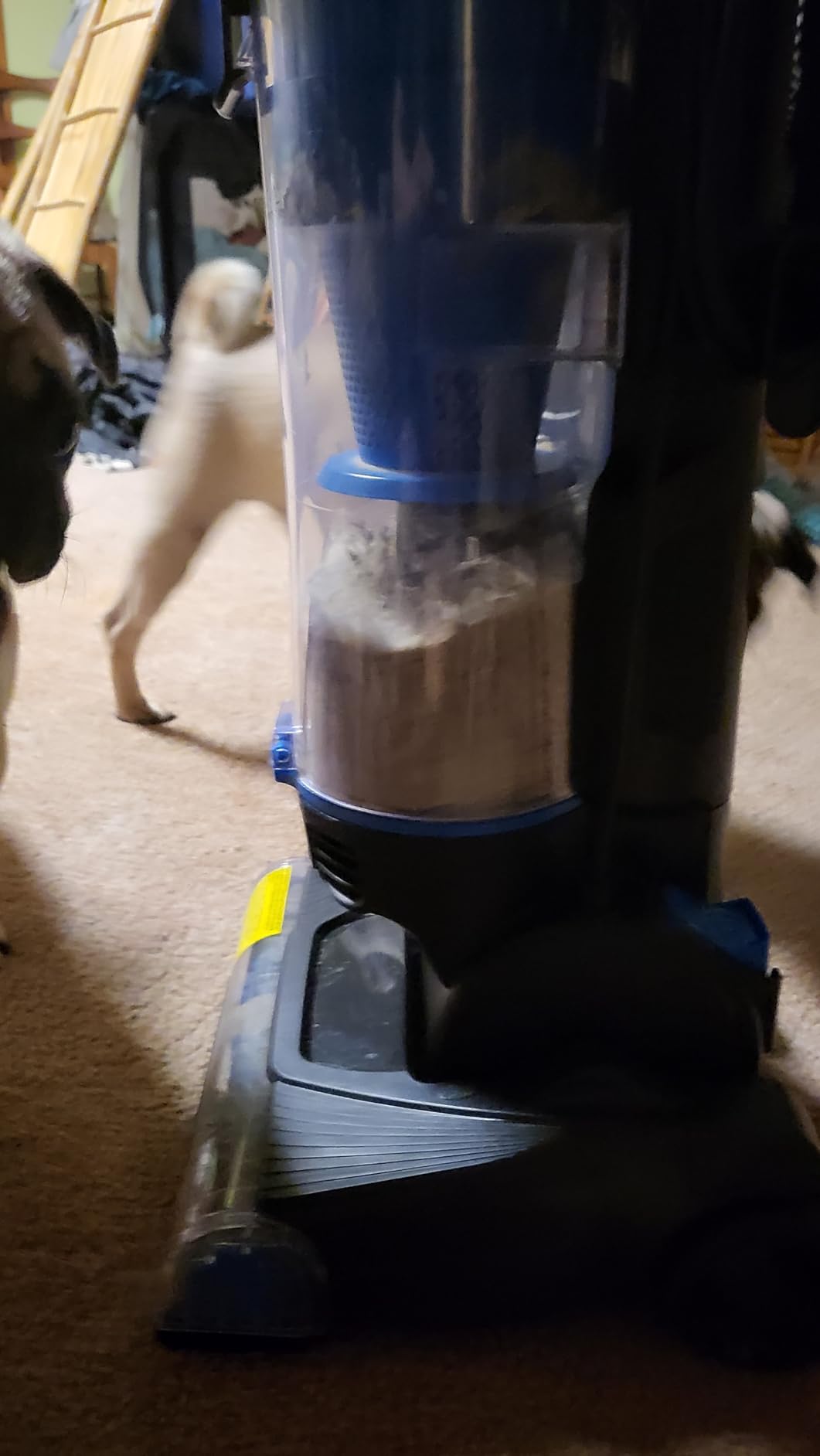 Vacmaster Commercial Grade Vacuum Cleaner 14L Capacity Ultra-Lightweight | Bagged Upright Vac with LED Headlight and 2-Speed Setting Powerful Suction for Pets, Carpets & Hard Floor, UB0402 customer photo 2