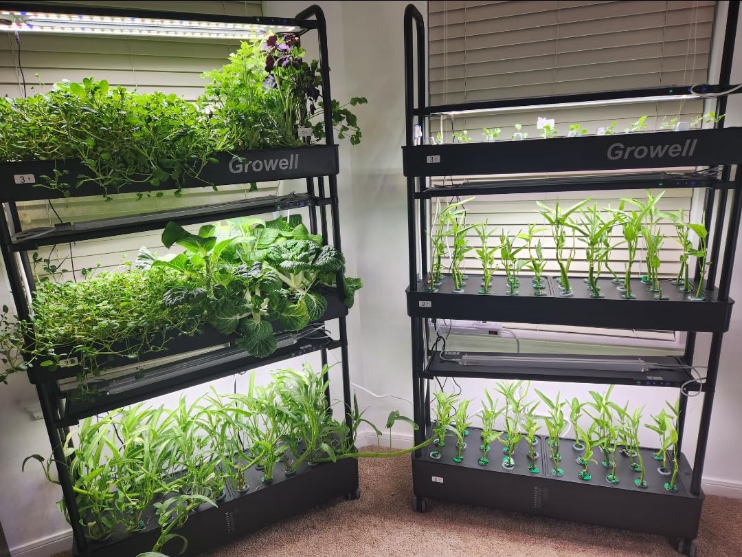 Growell Large Hydroponics Growing System Kit, 60 Pods Vertical Hydroponic Garden with 2 Light Modes Grow Light, Auto Circulating Water System, 32L Indoor Gardening System for Herb Vegetable Fruit customer photo 2