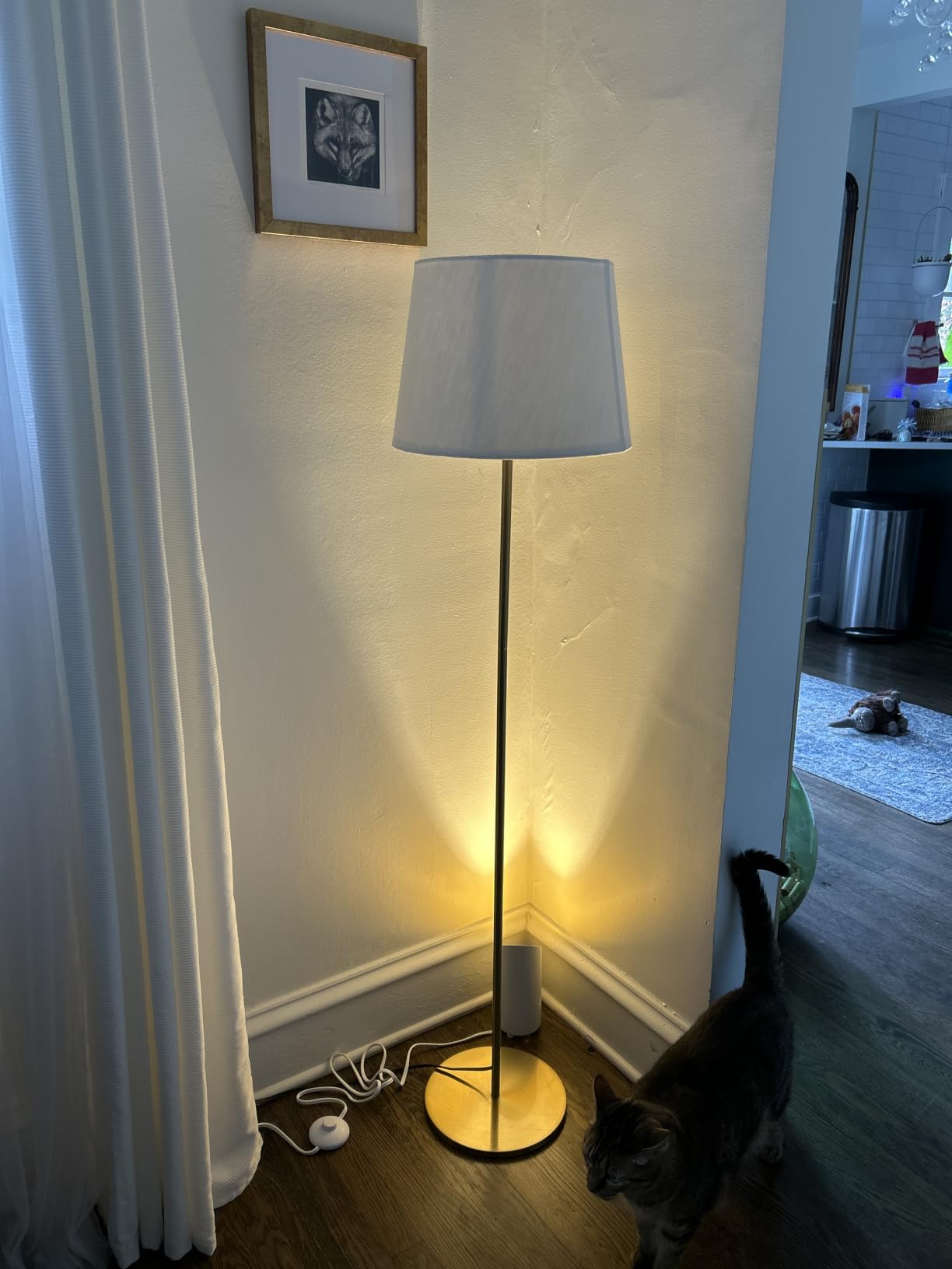 Uplighting Indoor, 7W Floor Can Lights with 2700K LED GU10 Bulbs | IP44 Waterproof Uplights Spotlight for Dark Corner Sofa House Plant Wall Artwork Indoor, 6.5FT Plug Cord & Foot Switch customer photo 1