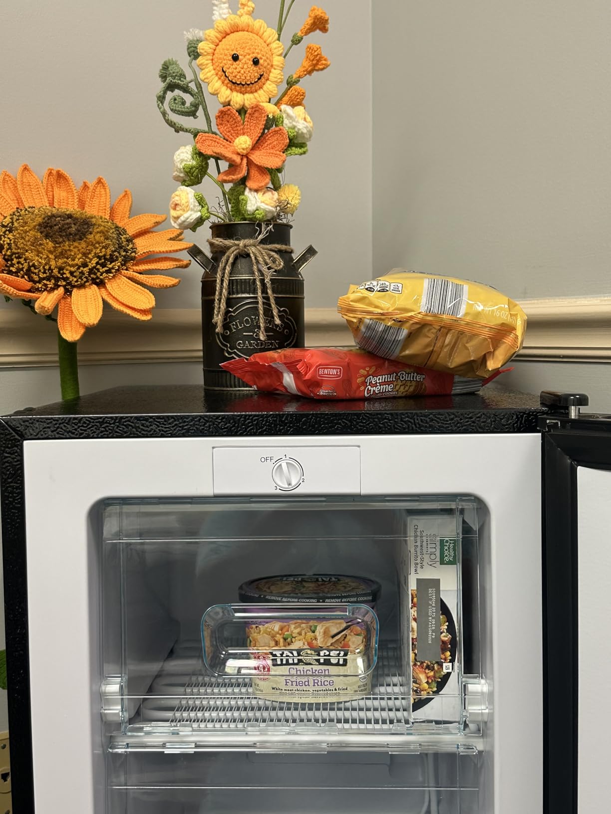 BODACIOUS Mini Upright Freezer - 3.2 Cu.Ft Compact Small Freezer - Black | Reversible Stainless Door, Plastic Baffles, Stand Up, Front Door, Freestanding, for Kitchen/RV/Dorm/Apartment customer photo 1