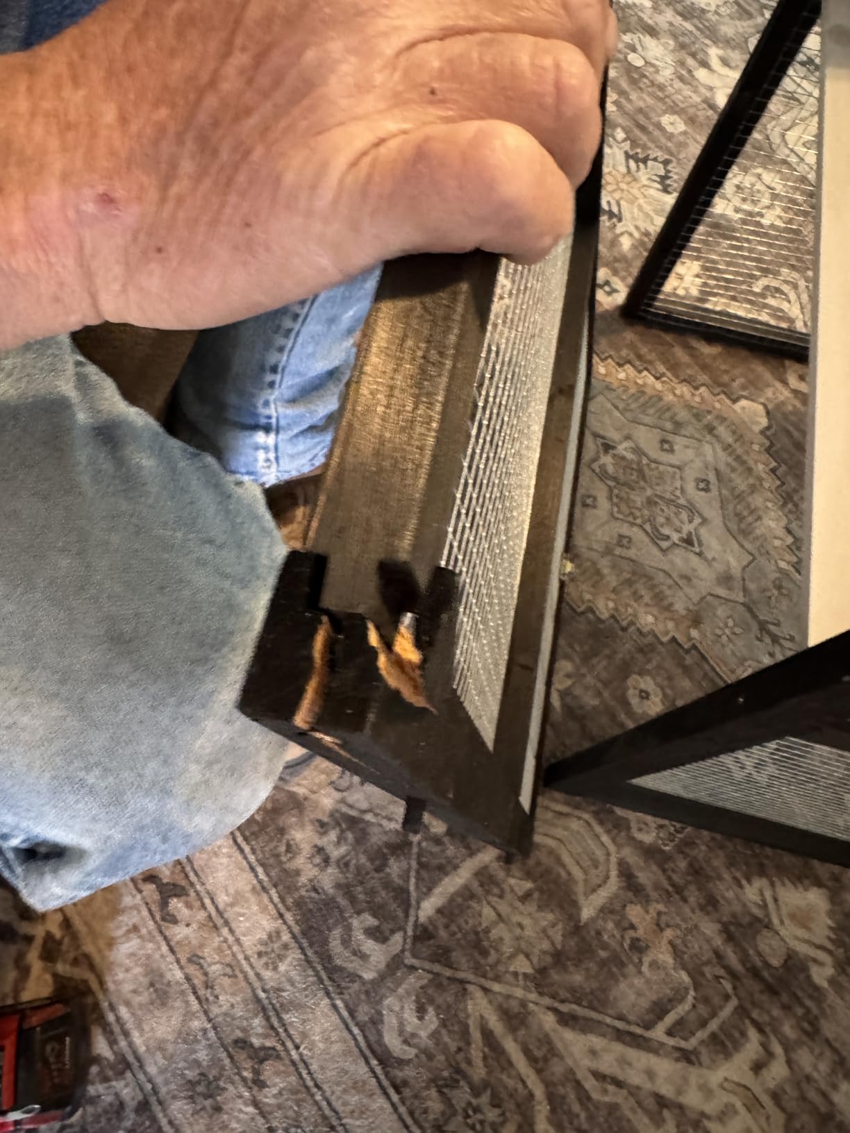 PetsCosset 116