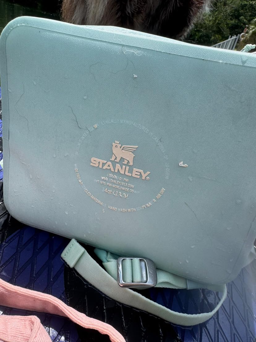 Stanley All Day Madeleine Backpack Soft Cooler 20 Can Cooler with Handle and Shoulder Straps customer photo 2