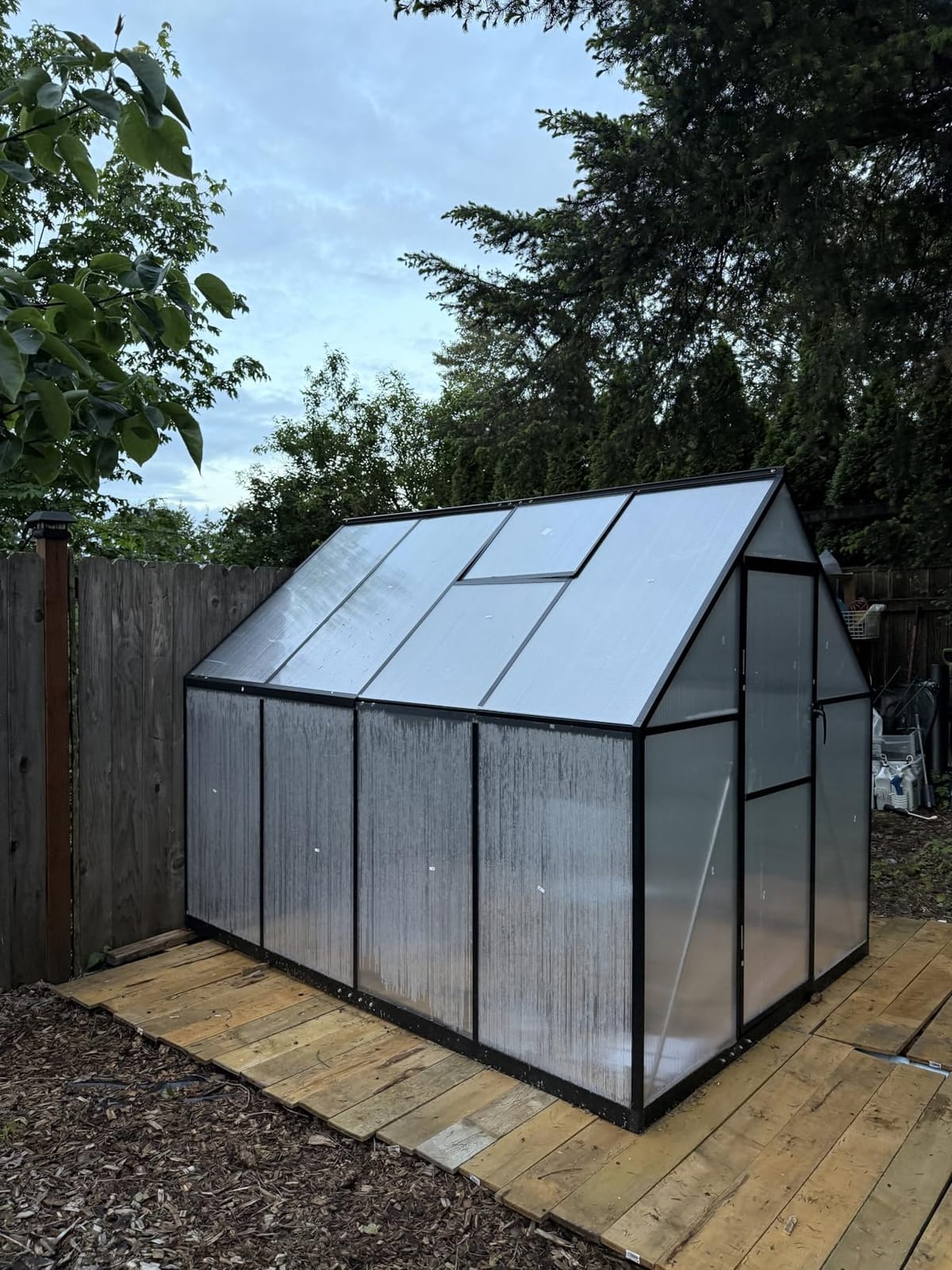 6x8 FT Greenhouse for Outdoors, Polycarbonate Greenhouse with Roof Vent, Enhanced Aluminum Large Walk-in Green House for Garden Backyard customer photo 2