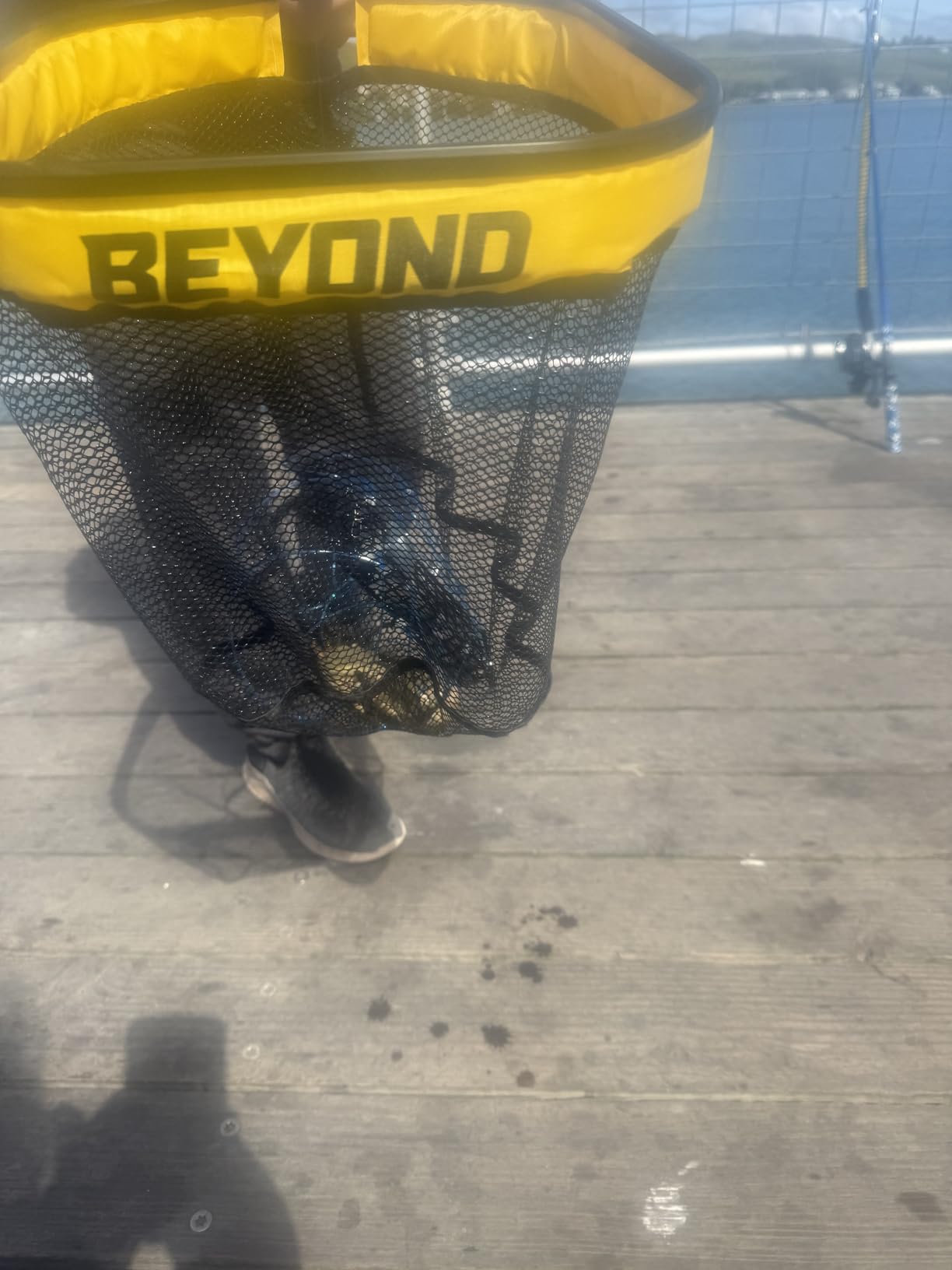 Beyond Braid Floating Fishing Net with Handle - Folding Fishing Net for Easy Storage - Telescopic Landing Net for Bass, Trout, Kayak & Boat Fishing - Durable, Lightweight & Fish Friendly customer photo 1