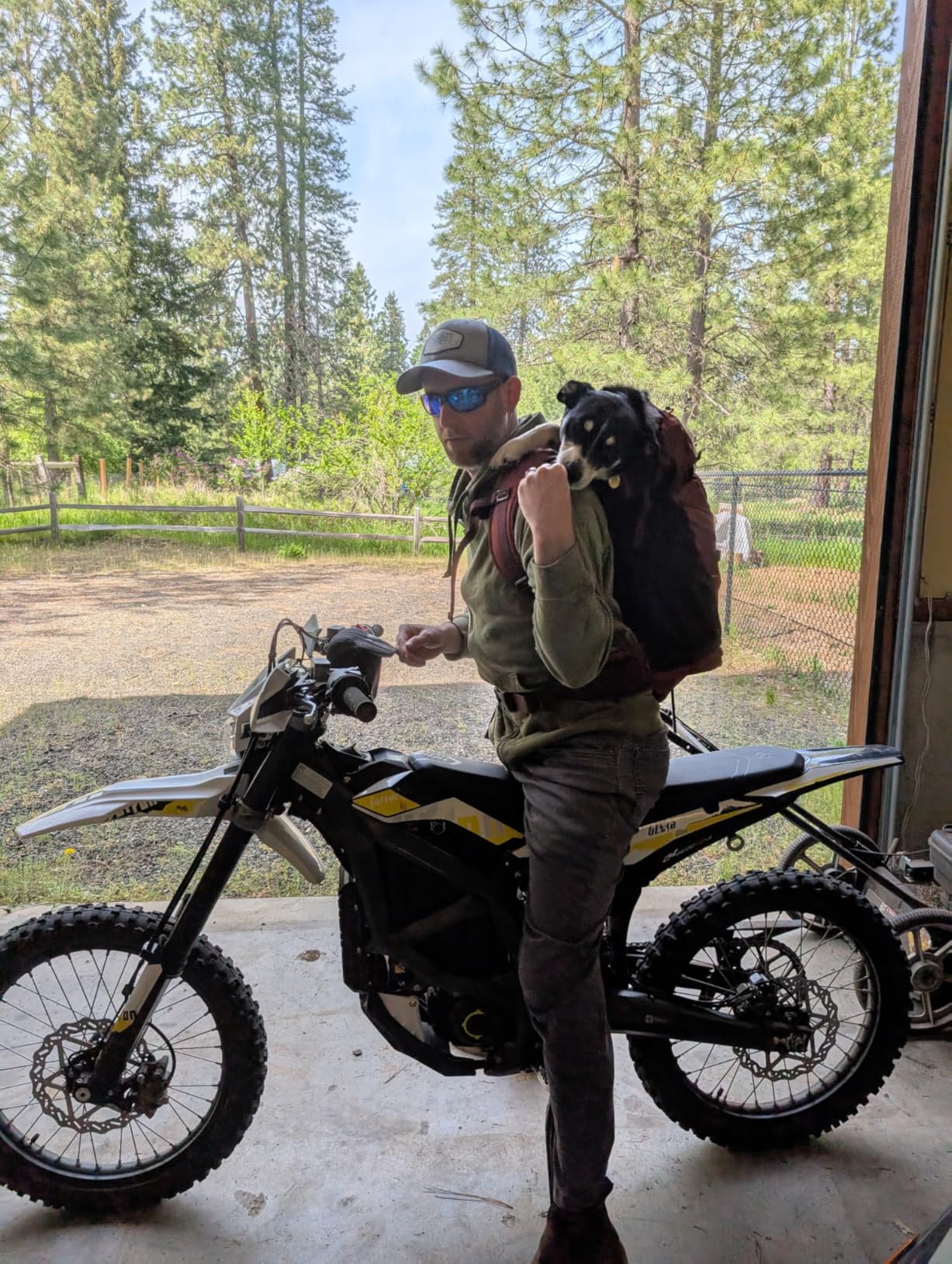 K9 Sport Sack Knavigate - Medium, Dune customer photo 2