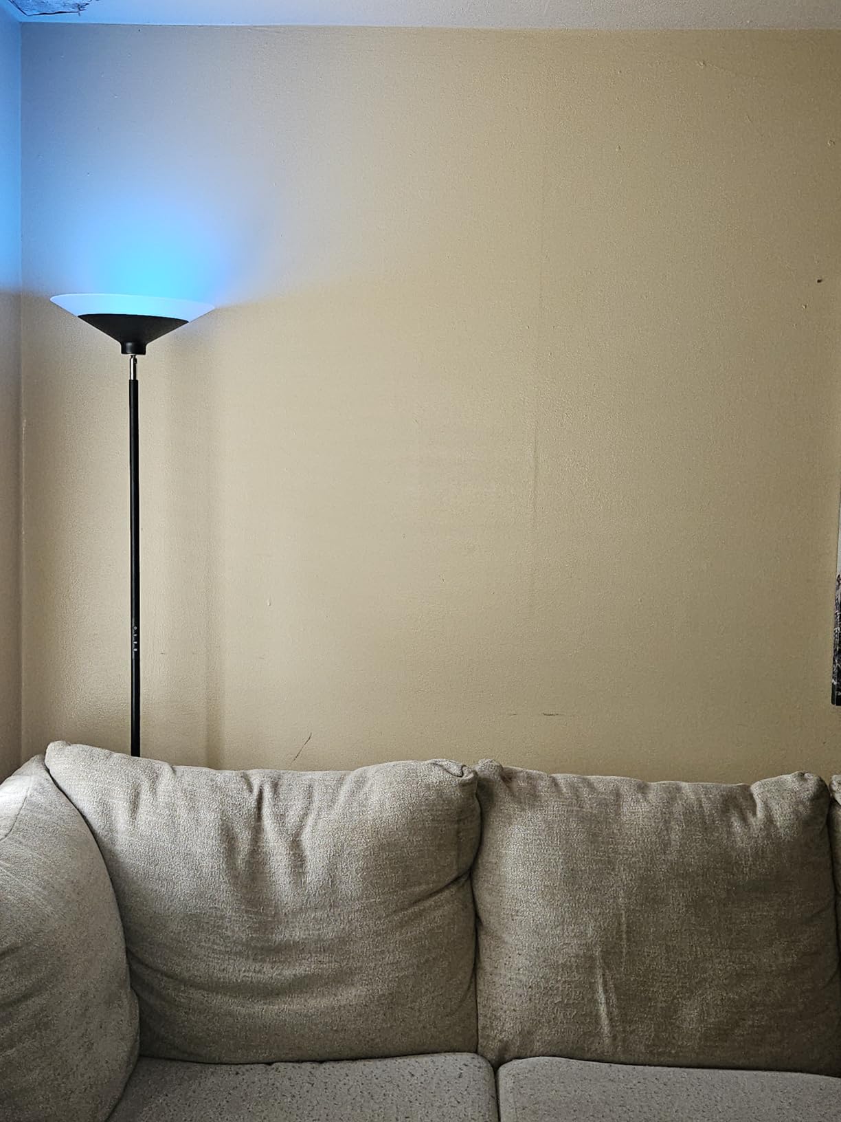 SIBRILLE Torchiere Floor Lamp - 72