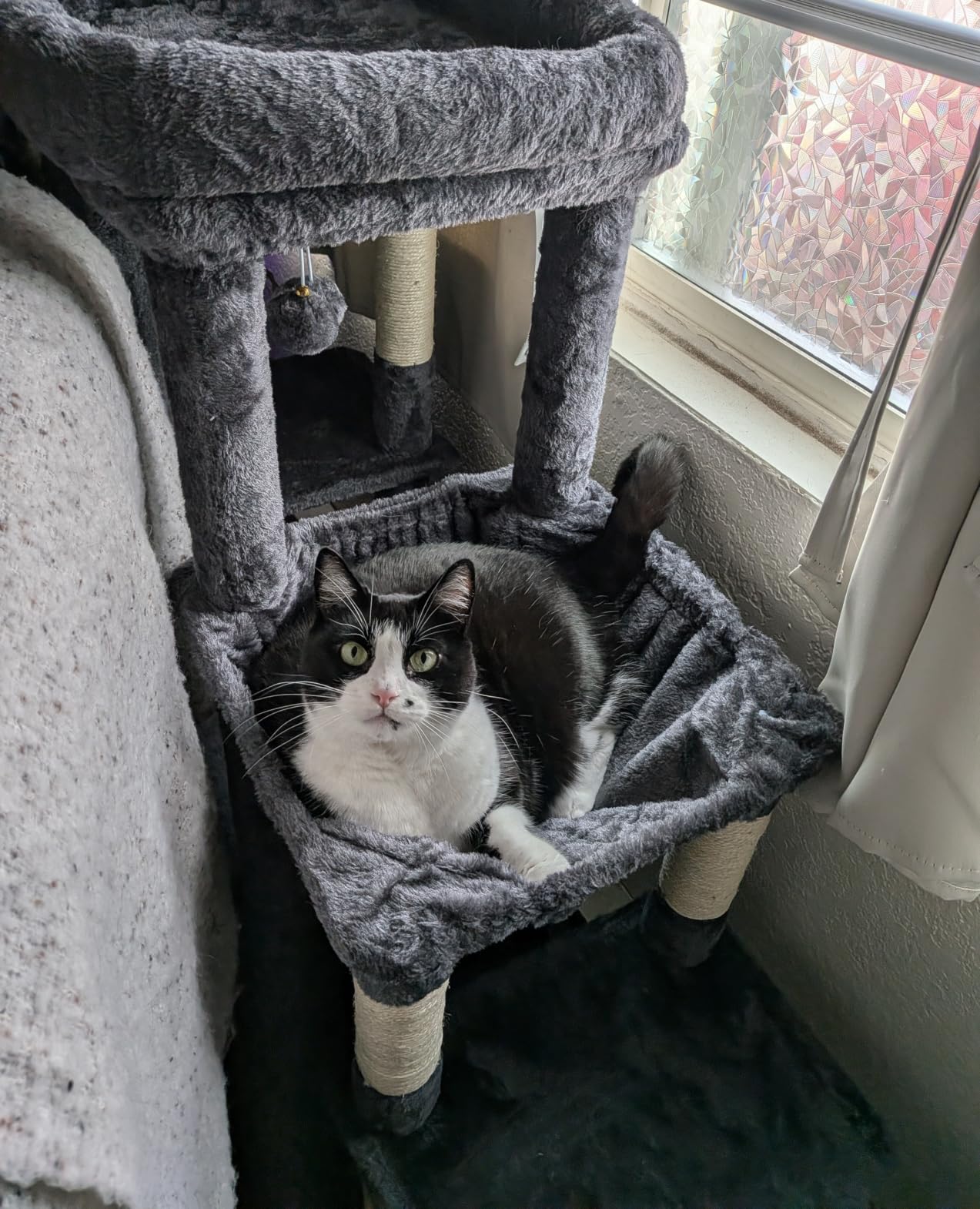 Heybly Cat Tree, 71-Inch Tall Cat Tower for Large Maine Coon Cats with Extra-Large Baseboard, Cat Condo Furniture with Multi-Level Platforms, 2 Hammocks and 12 Scratching Posts, Smoky Gray HCT037G customer photo 1
