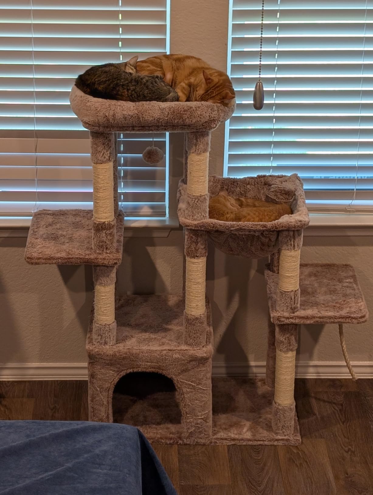 Heybly Cat Tree, 71-Inch Tall Cat Tower for Large Maine Coon Cats with Extra-Large Baseboard, Cat Condo Furniture with Multi-Level Platforms, 2 Hammocks and 12 Scratching Posts, Smoky Gray HCT037G customer photo 2