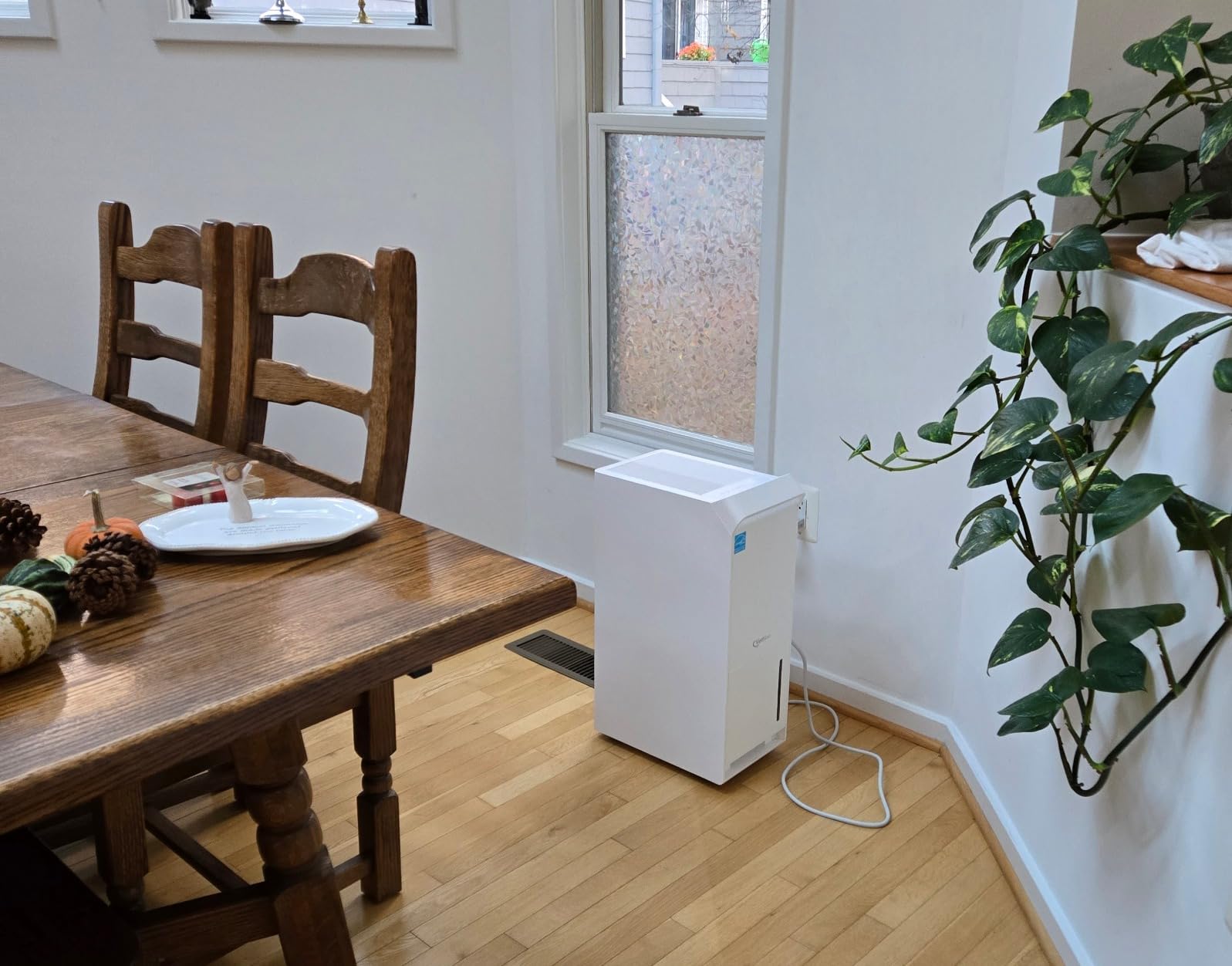 5000 Sq Ft ENERGY STAR Most Efficient Dehumidifier with Pump for Basement | Max 100 Pints/Day with Drain Hose, Auto Defrost, Smart Humidity Control, Auto Restart, for Home and Large Rooms customer photo 1