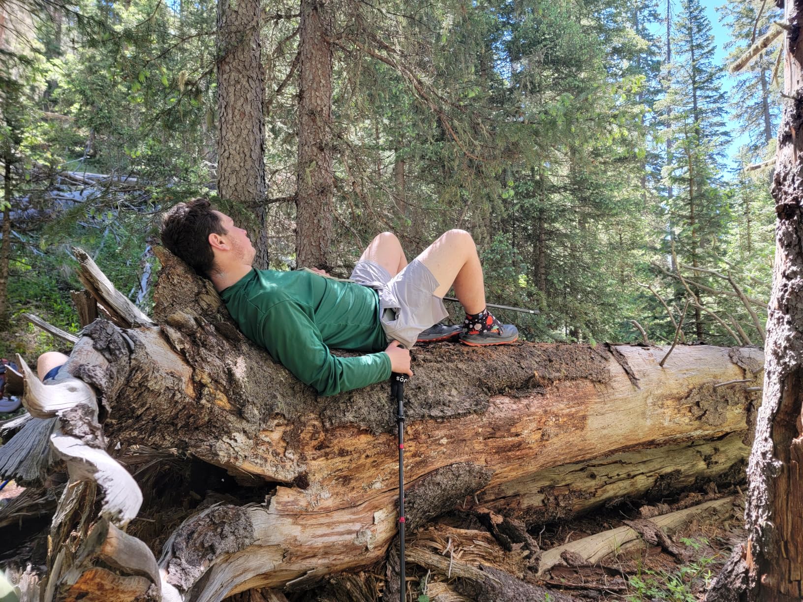 MX-2 PRO | X Carbon Tech Carbon Fiber Trekking Poles customer photo 1