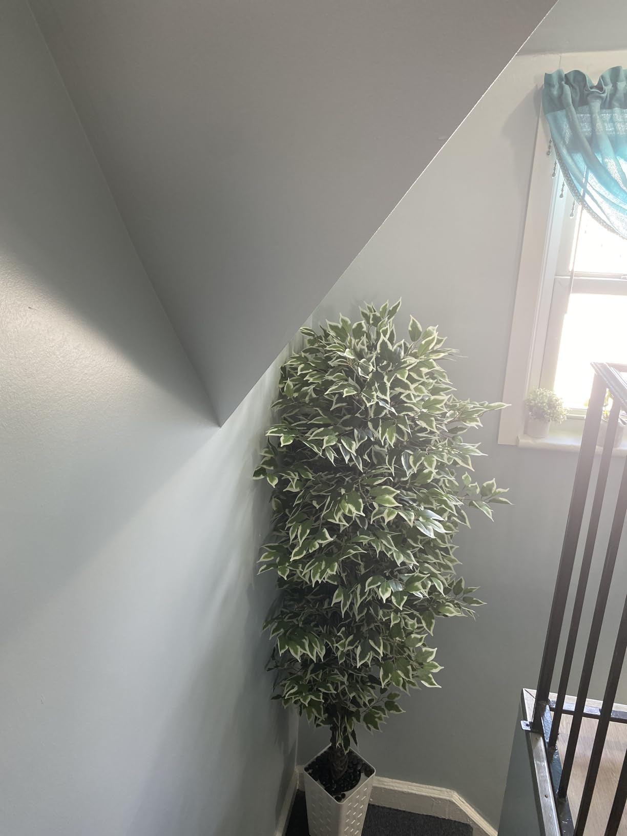 Artificial Ficus Tree Indoor, 6FT Realistic Large Fake Trees | Lifelike Lush Faux Silk Ficus Plant with White Planter, Tall Artificial Plants for Home Room House Office Greenery Decor customer photo 1