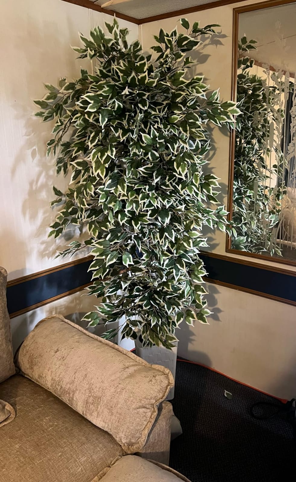 Artificial Ficus Tree Indoor, 6FT Realistic Large Fake Trees | Lifelike Lush Faux Silk Ficus Plant with White Planter, Tall Artificial Plants for Home Room House Office Greenery Decor customer photo 2