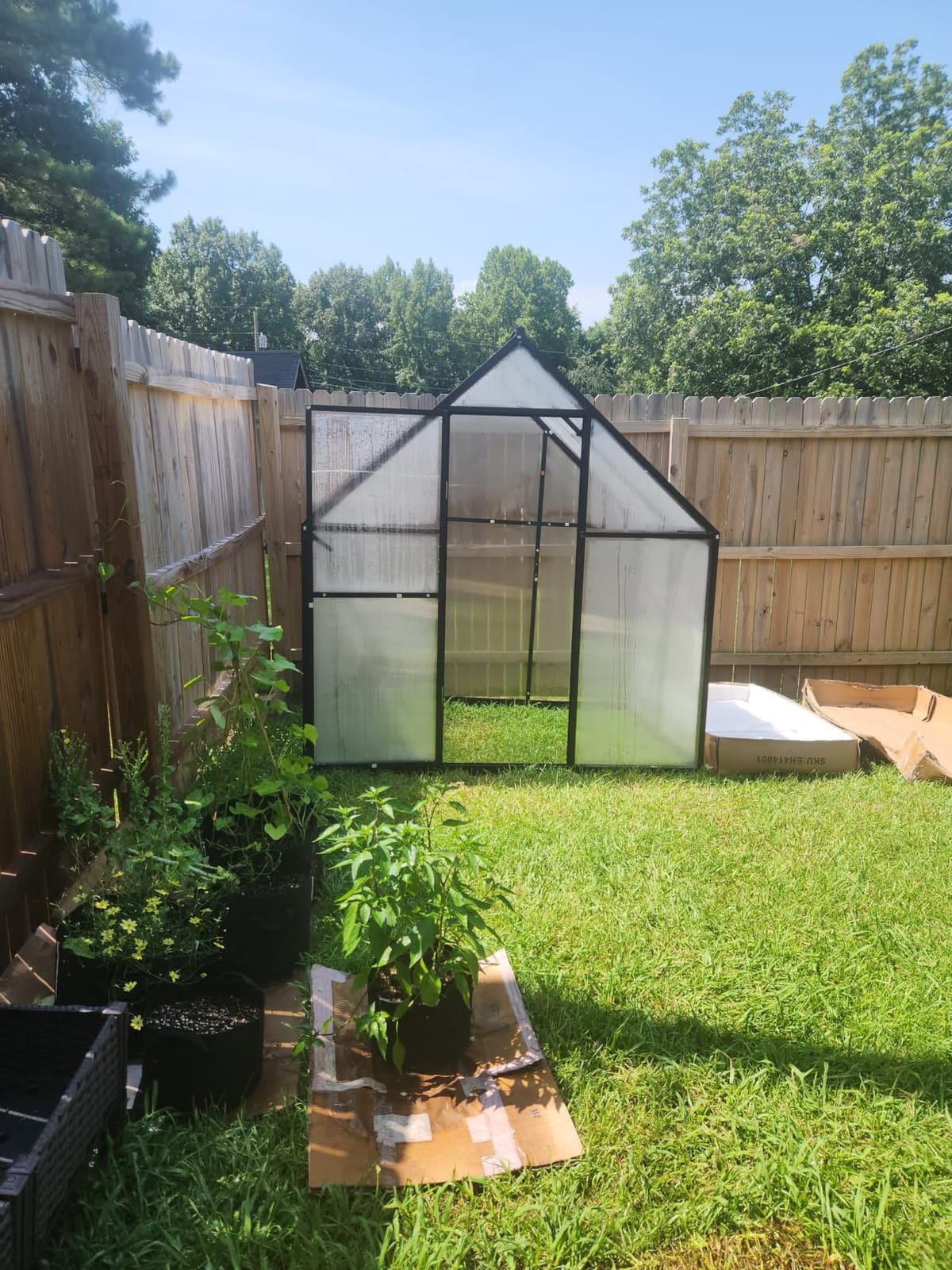 HOOYEAH 6x8 FT Polycarbonate Greenhouse, Walk-in Greenhouses for Outdoors, Aluminum Frame Plant Green House with Locking Door & Roof Vent, Heavy Duty Winter Green House Kit for Outside Backyard customer photo 1