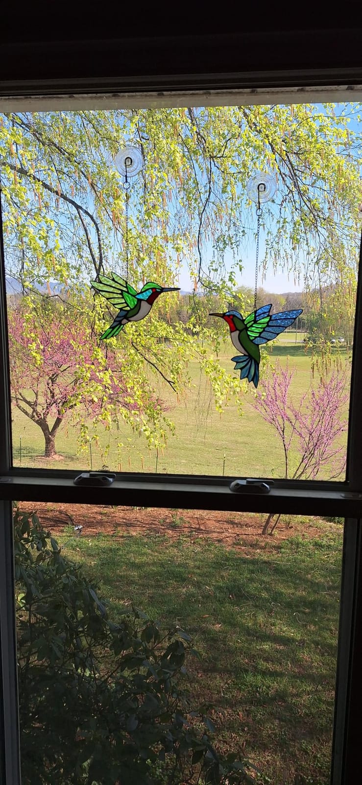 2 Pcs Hummingbird Stained Glass Window Hanging Suncatchers,Gifts for Women | Handmade Copper Foil Art,Birthday Anniversary Gift For Mom Grandma Wife Mother In Law,Bird Lovers Sun Catcher Decor,6 Inch customer photo 2