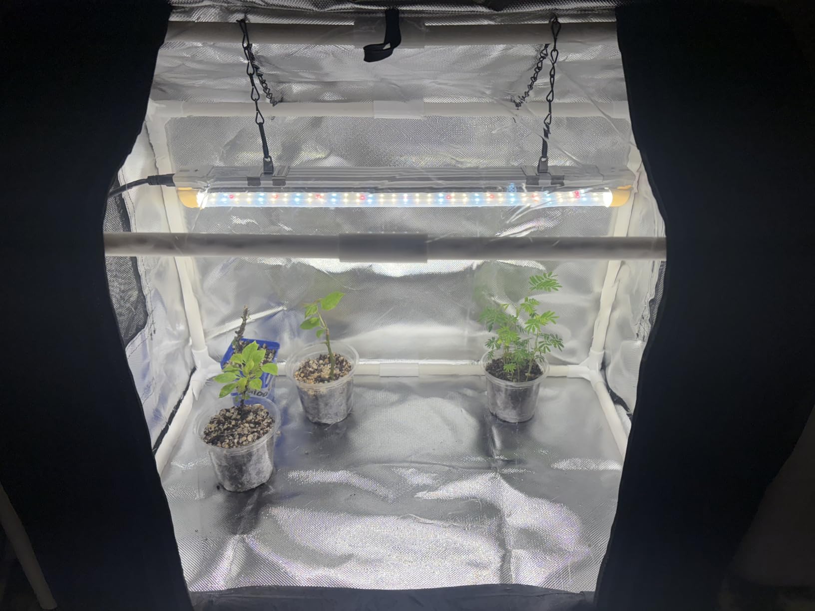 Bstrip Mini Indoor Greenhouse with Grow Light, Tabletop Seed Starting Tent | 18W Plant Light with Auto Timer, Clear EVA Cover, PET Base Mat, Ventilation Windows, Roll-Up Zippered Door, 23.8x15.7x20.5in customer photo 1