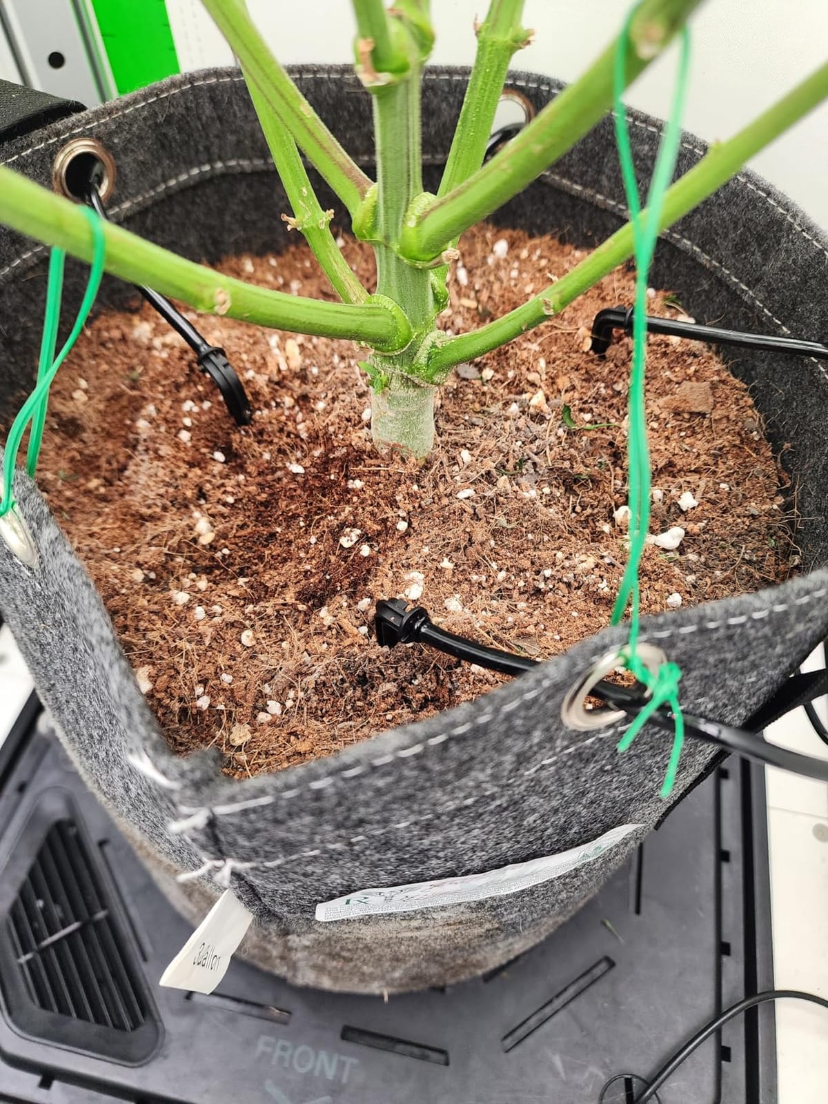 VIVOSUN Automatic Drip Irrigation Kit, Smart Watering System | 16 Drip Emitters, 4mm Fast Flow, App-Controlled A10 GrowHub, Quiet 15W Pump, Anti-Siphon & Filtered for Indoor Plants customer photo 1
