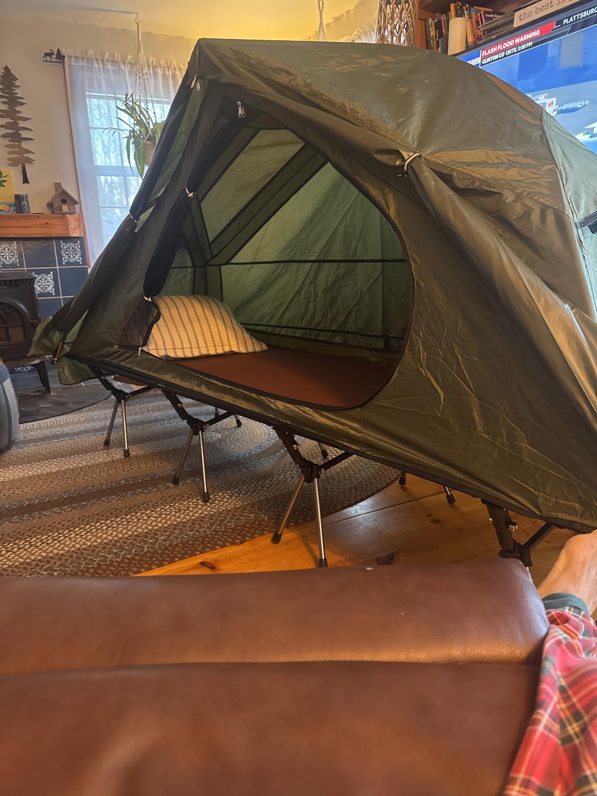 Night Cat Camping Cot Tent - Waterproof 1-Person Off-Ground Combo Cot Bed for Adults Portable Easy Set-up Tent Green 31.5'' Width customer photo 2