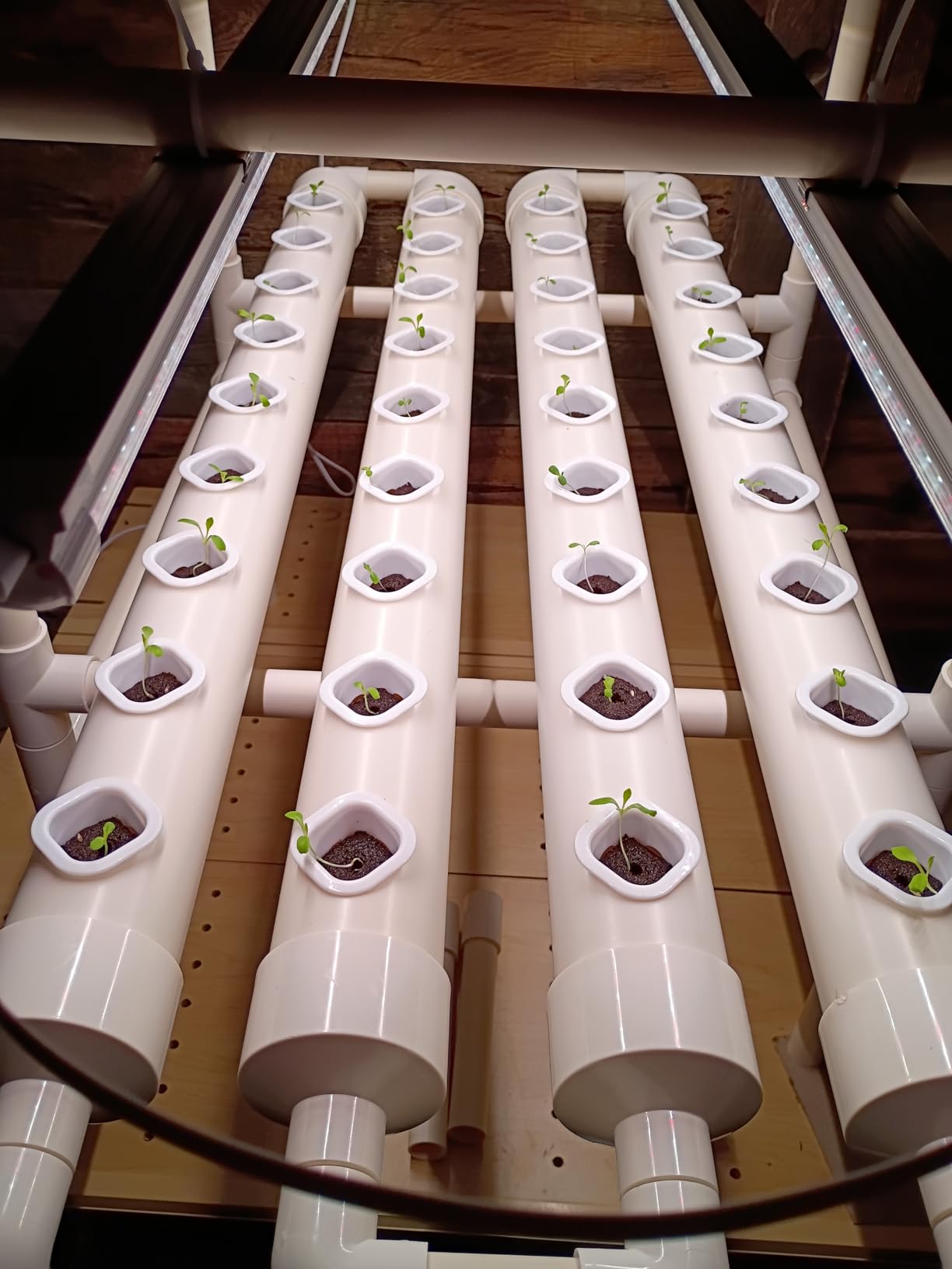 NFT Hydroponic Growing System Kit - Full-Spectrum Grow Lights & Timer | 36 Plant Sites | Food-Grade PVC-U Pipes | Auto Water Pump & Timer | Indoor Gardening for Leafy Greens, Lettuce & Herbs customer photo 2