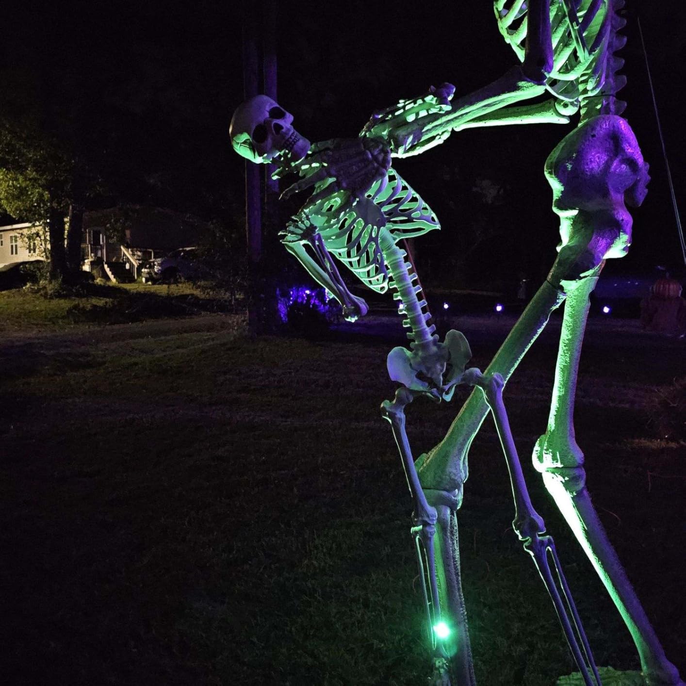 Halloween Giant Skeleton, Large Realistic Full Body Skeleton with Movable Joints for Halloween Party Haunted House Indoor Outdoor Decoration (7.8ft-1P) customer photo 1