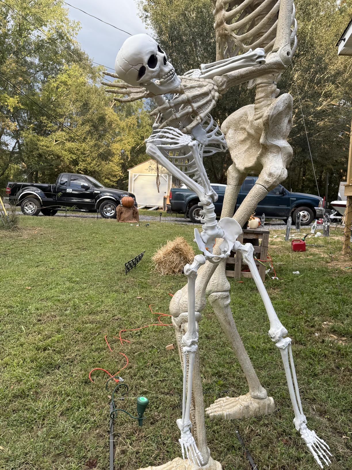 Halloween Giant Skeleton, Large Realistic Full Body Skeleton with Movable Joints for Halloween Party Haunted House Indoor Outdoor Decoration (7.8ft-1P) customer photo 2