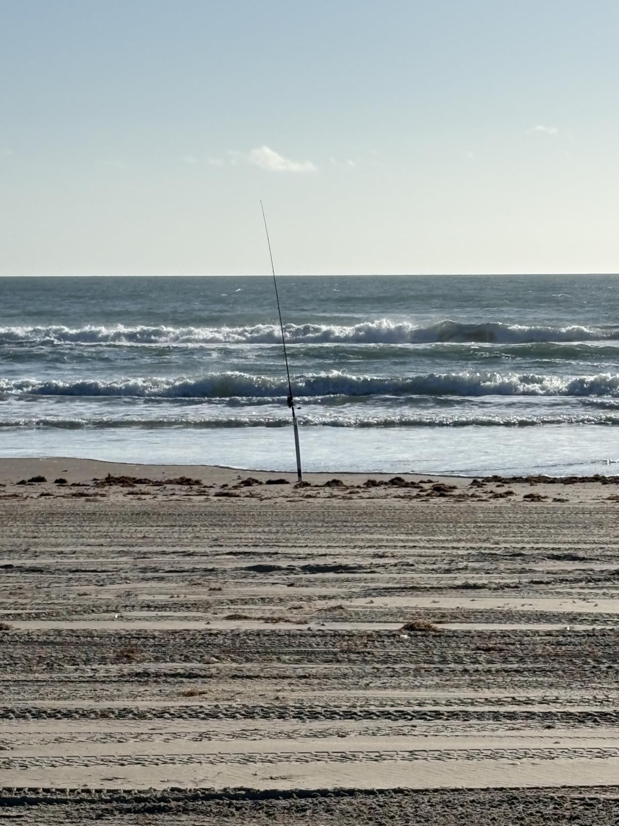 Sougayilang 3 Piece Surf Fishing Rod Combo Medium/Heavy Travel Spinning Rod with 4000/5000 Size Reel Baitfeeder Combo (9'/10'/11'/12') customer photo 1