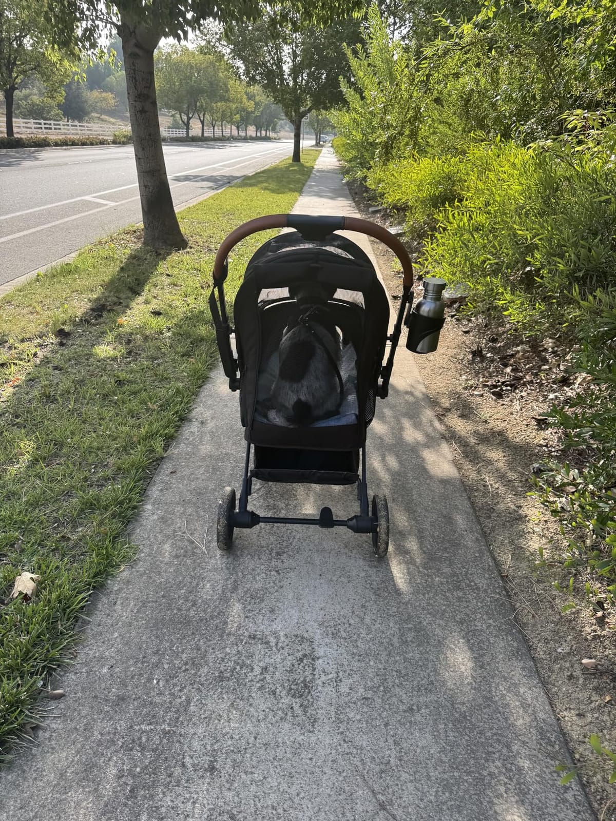 Bicystar Foldable Dog Stroller for Small Medium Dogs & Cats, 45 lbs, Grey | For senior & injured pets, Travel-friendly, All-terrain 4 wheels, Aluminum frame, 42