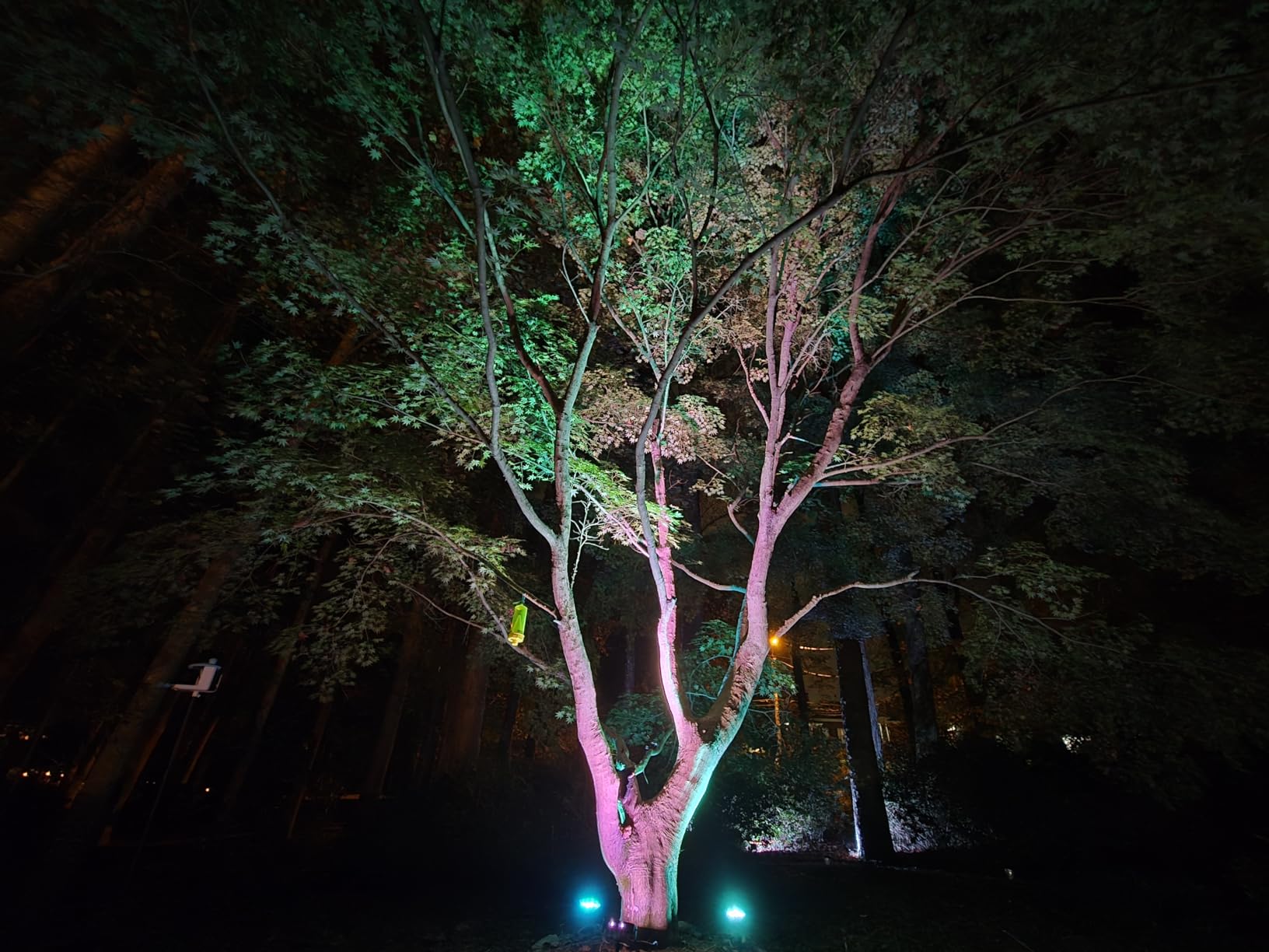 Govee Outdoor Tree Lights 3-Pack, RGBWIC LED Landscape Lighting | Outdoor Lights for Yard Garden Patio, 66 Scene Modes for Holiday Party and Event, App Control, Google Assistant, Matter customer photo 2