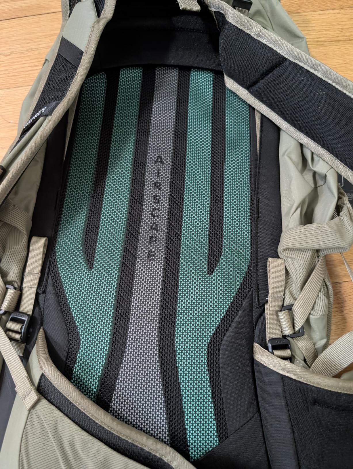Osprey Sportlite 30L Lightweight Hiking Backpack for Men and Women - Everyday Hiking Bag - Travel Daypack, Graphite Purple customer photo 1