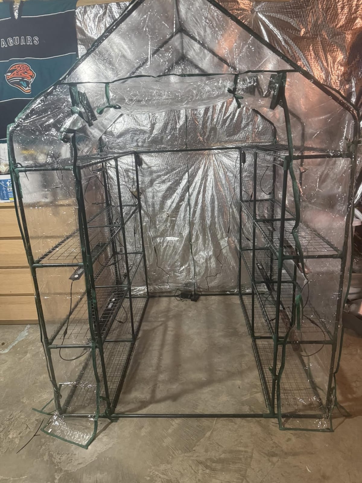 Bstrip Indoor Greenhouse with Grow Light, 5-Tier Large Greenhouse Cabinet | 5x24W LED Grow Lights, Clear PVC Cover, 5 Heavy Duty Shelves, Airflow Windows, Zippered Door, 40.2x18.9x74.8in, Auto Timer customer photo 2