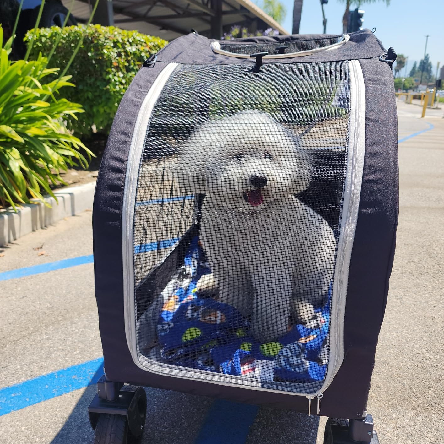 EchoSmile 4-Wheel Pet Stroller for Dogs & Cats, Up to 135 lbs, Grey | Lightweight Carrier, Storage Basket Included, Adjustable Handle, Removable Pad customer photo 1