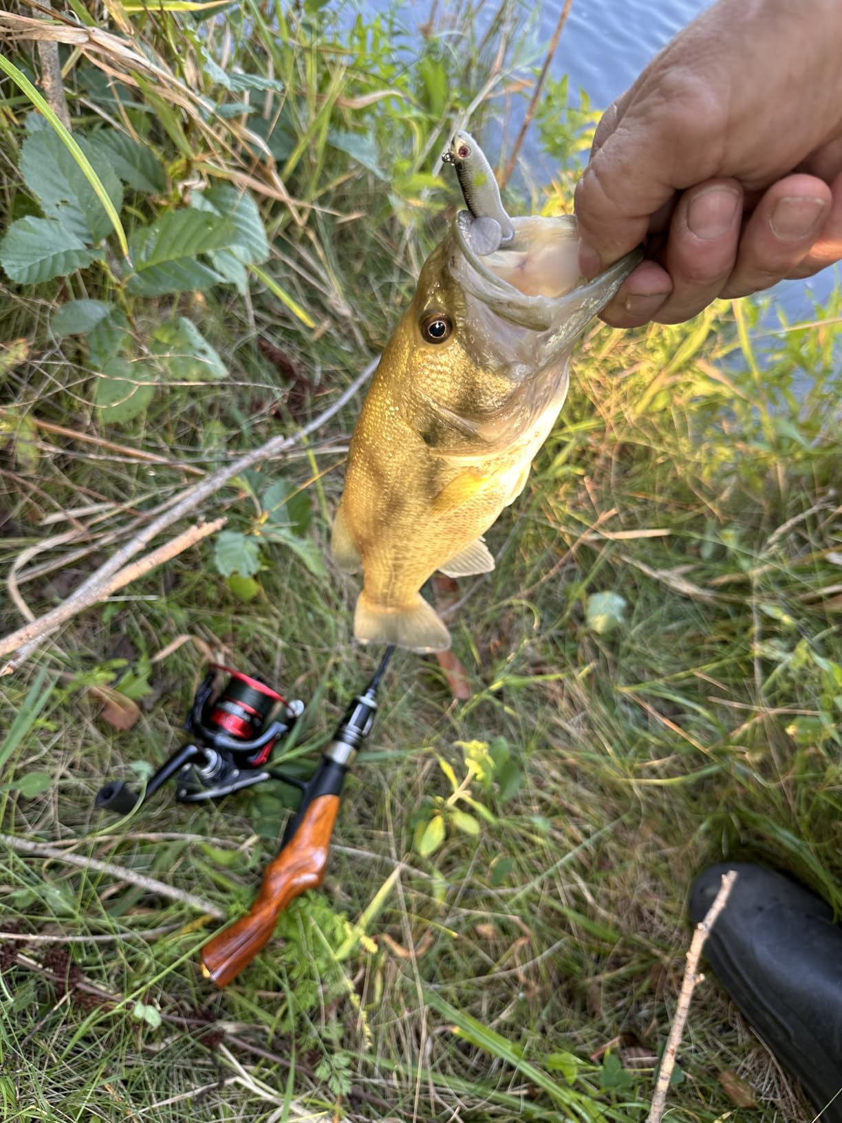 Tuxedo Sailor Ice Fishing Rod and Reel Combos customer photo 2