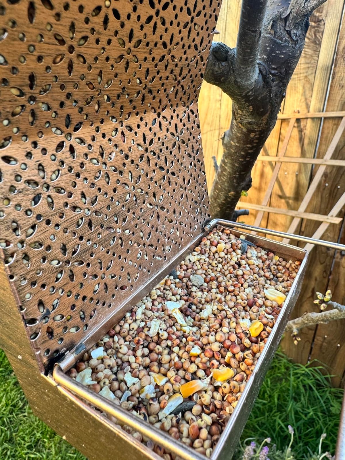 HouseSapp Bird Feeders for Outdoors Hanging - 6lb Large Capacity Metal Double Tier Bird Feeder, Chew-Proof, Weather and Water Resistant Wild Bird Feeders, Outside and Garden Decoration customer photo 2