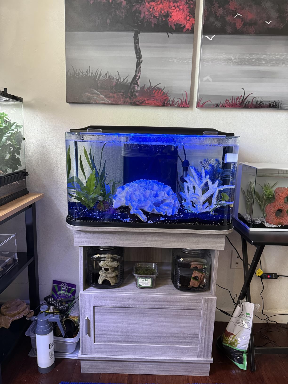 GloFish Glass Aquarium Kit, 20 Gallons, Includes Premium Blue, LED Light Stick & Integrated Filtration customer photo 1