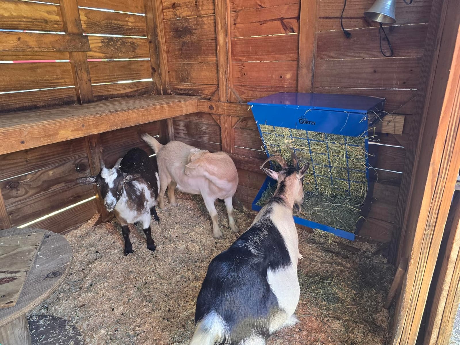 Wall Mount Hay Rack And Hay Feeder For Goats Sheep And Horses, Covered Galvanized Steel Goat Hay Feeder With Hinged Roof, 25 Gallon 2-In-1 No Waste Hanging Holder Grain Bin with hook For Cattle customer photo 1