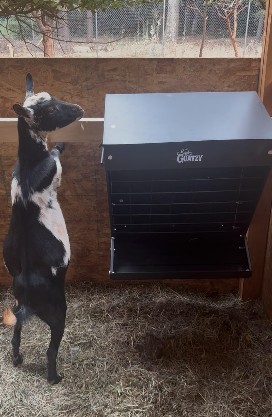 Wall Mount Hay Rack And Hay Feeder For Goats Sheep And Horses, Covered Galvanized Steel Goat Hay Feeder With Hinged Roof, 25 Gallon 2-In-1 No Waste Hanging Holder Grain Bin with hook For Cattle customer photo 2
