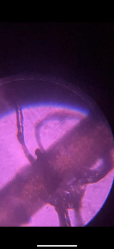 PalliPartners Compound Binocular Microscope for Adults, Professionals & Kids customer photo 1