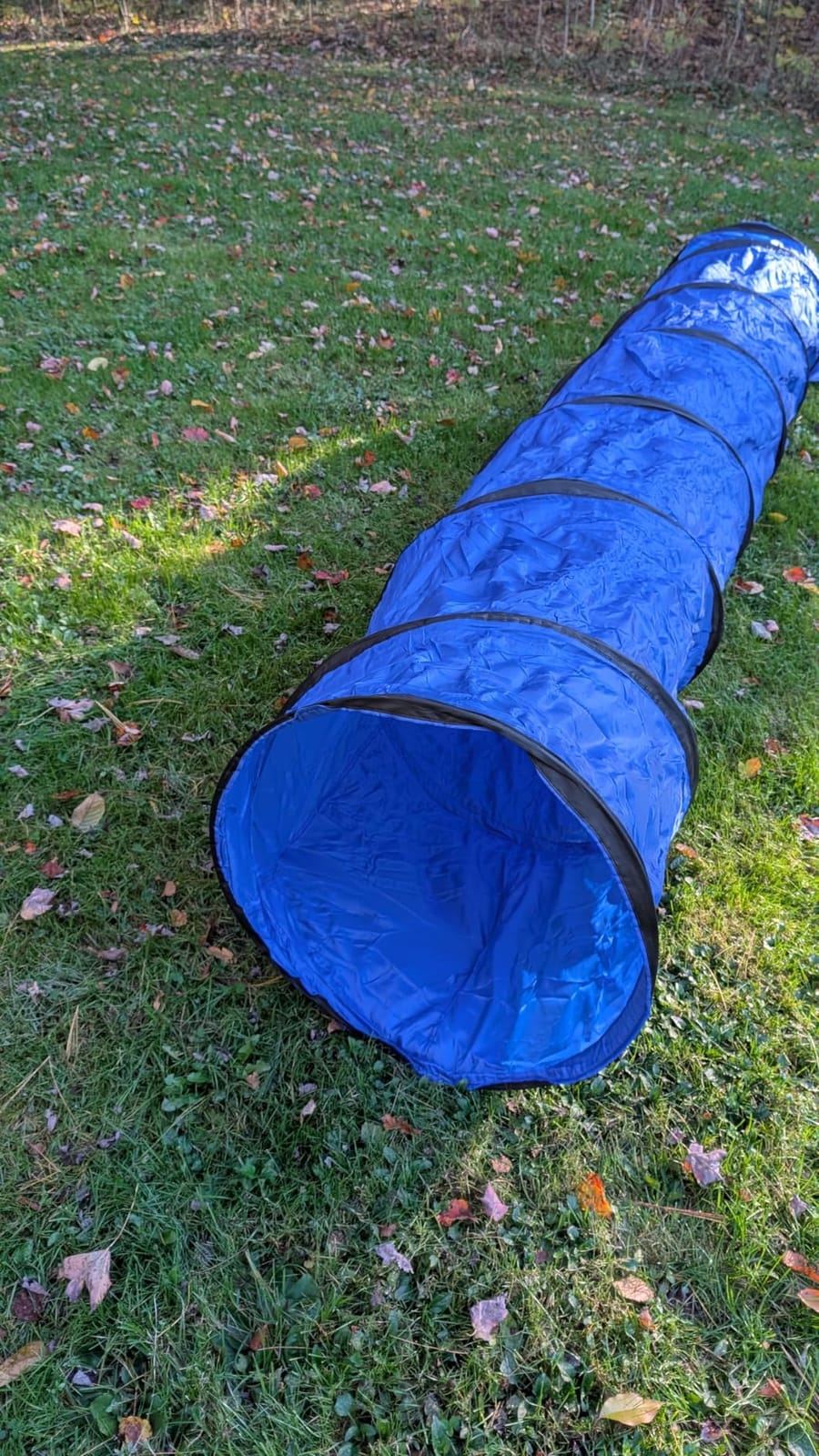 Dog Agility Tunnel with Carry Bag and Ground Spikes, Foldable 10-Foot Tunnel for Dog Training, Dog Agility Equipment for Outdoor, Backyard, Indoor Use, KINETOVOLTA customer photo 1