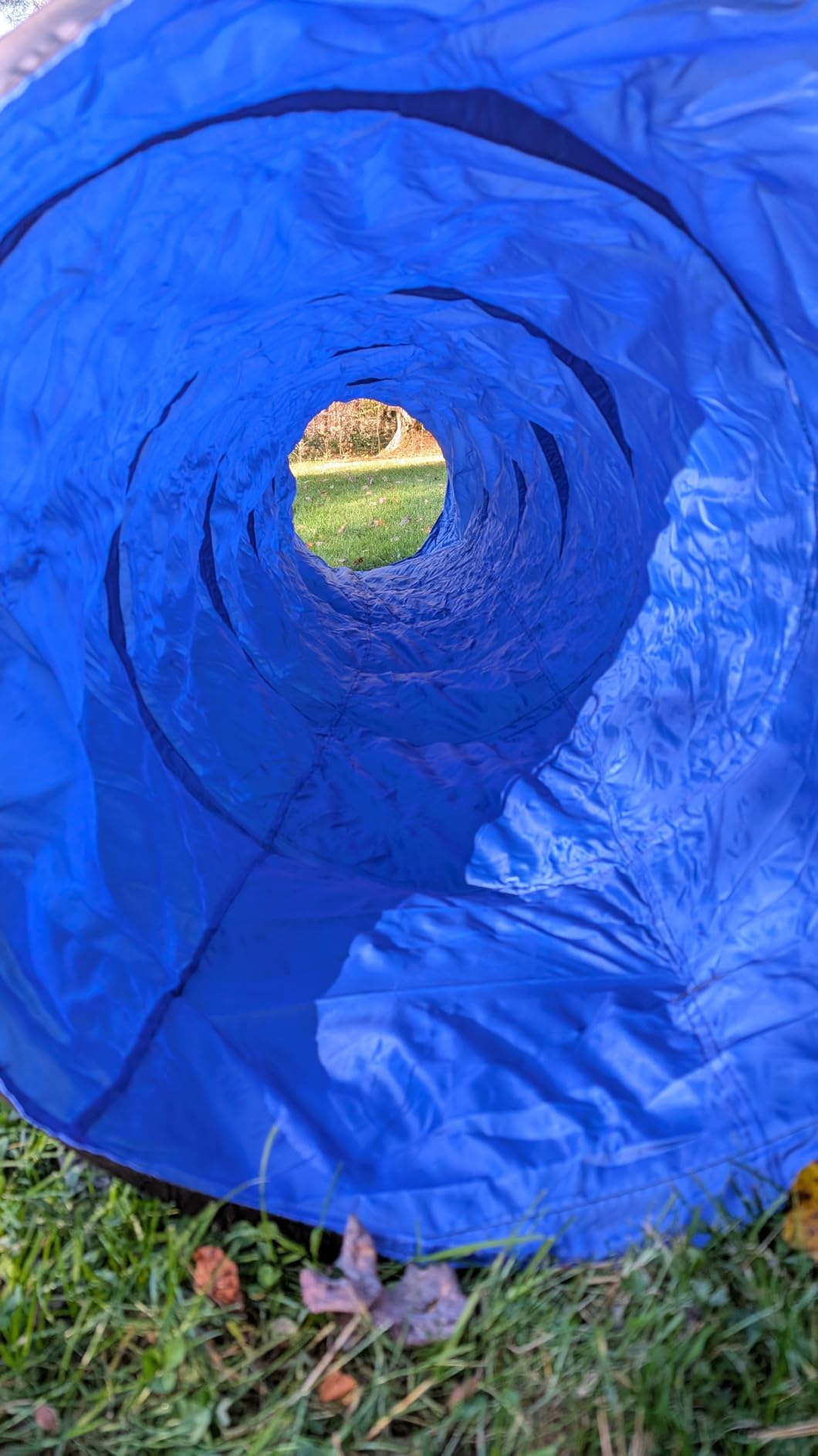 Dog Agility Tunnel with Carry Bag and Ground Spikes, Foldable 10-Foot Tunnel for Dog Training, Dog Agility Equipment for Outdoor, Backyard, Indoor Use, KINETOVOLTA customer photo 2