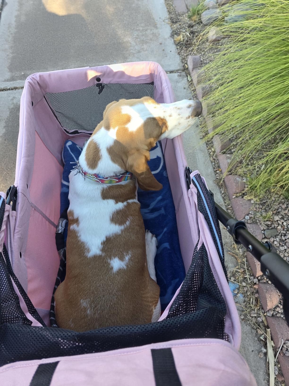 Dog Stroller for Large & Medium Dogs (20-132 lbs), for 2 Small Dogs | Pet Stroller, Extra Large Heavy Duty, Foldable & Ventilated, Grey customer photo 2