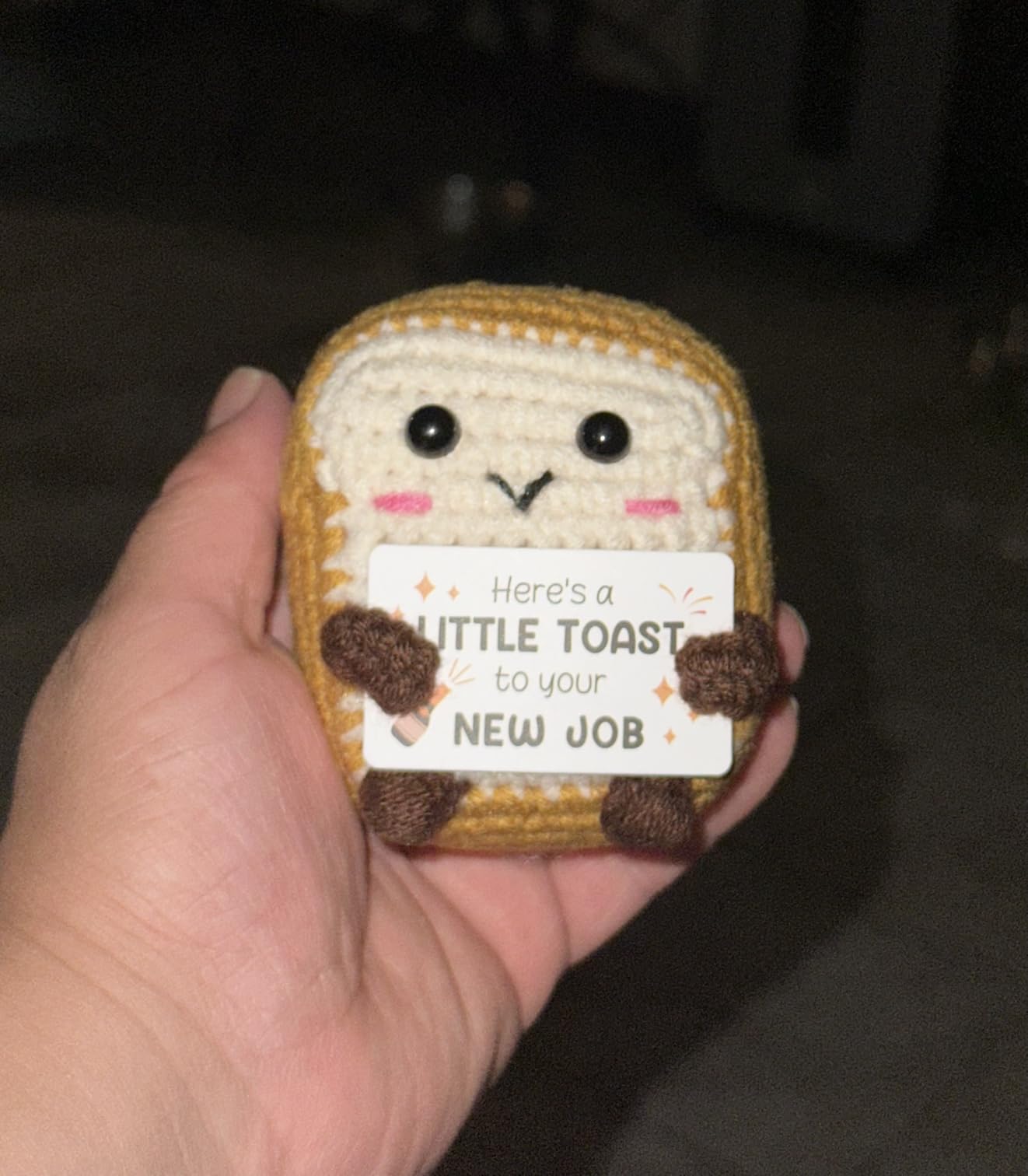 2026 Graduation Gift for College, High School Grads - Funny Handmade Positive Crochet Toast for Graduation Decorations, Best Inspirational Graduate Gift for Her or Him customer photo 2