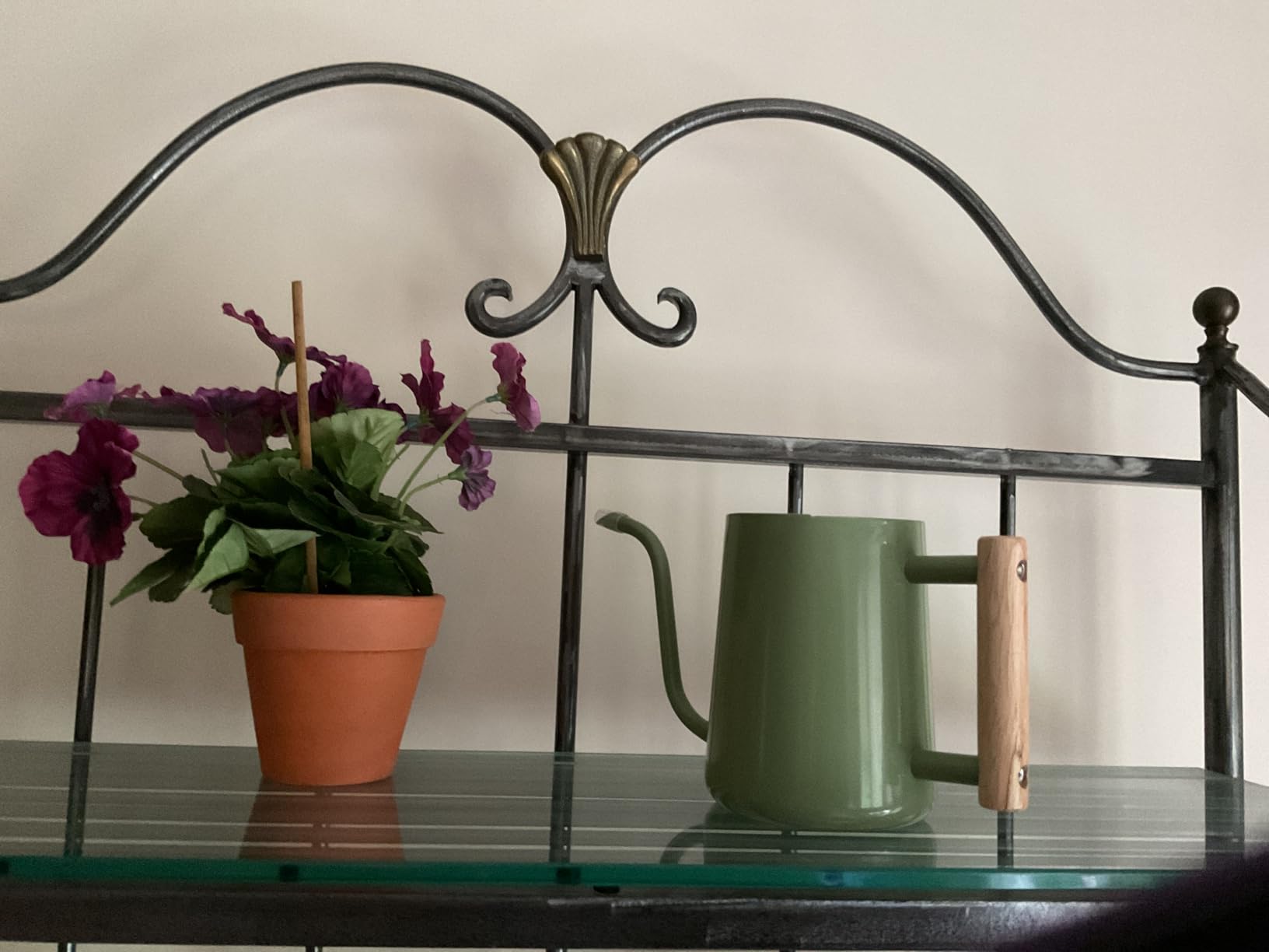 Watering Can Indoor Plants, 35oz Small Stainless Steel Metal Watering Can Modern Decorative Watering Pot with Long Spout for Indoor House Plant Bonsai Garden Flowers (Copper) customer photo 1