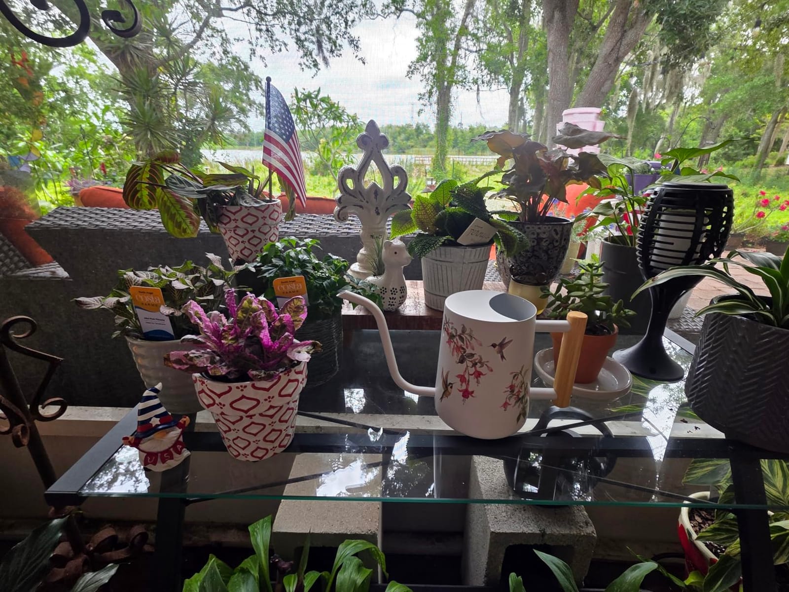 Watering Can Indoor Plants, 35oz Small Stainless Steel Metal Watering Can Modern Decorative Watering Pot with Long Spout for Indoor House Plant Bonsai Garden Flowers (Copper) customer photo 2