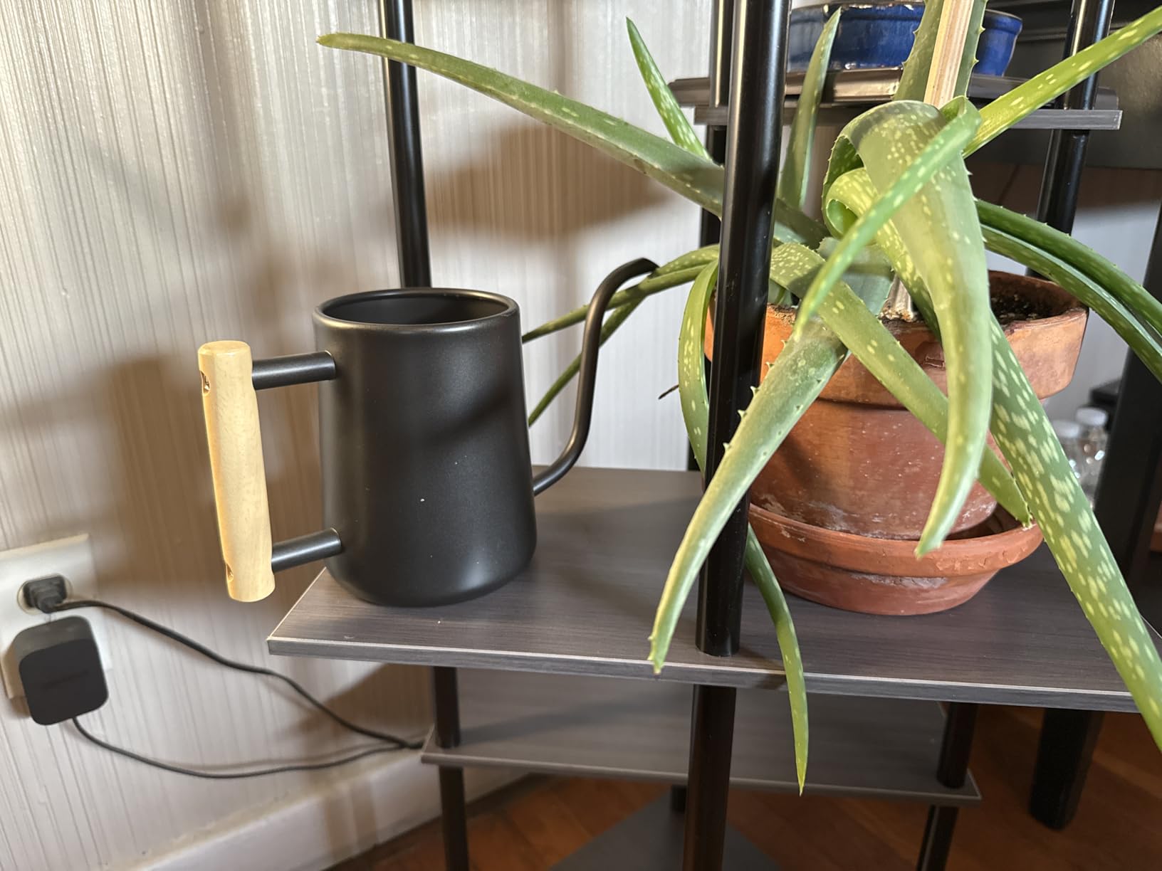 Watering Can Indoor Plants, 35 oz/1000 ml Metal Stainless Steel Watering Can Pot with Long Spout for Indoor House Plants Bonsai Outdoor Garden Flower Decorative (Copper) customer photo 1