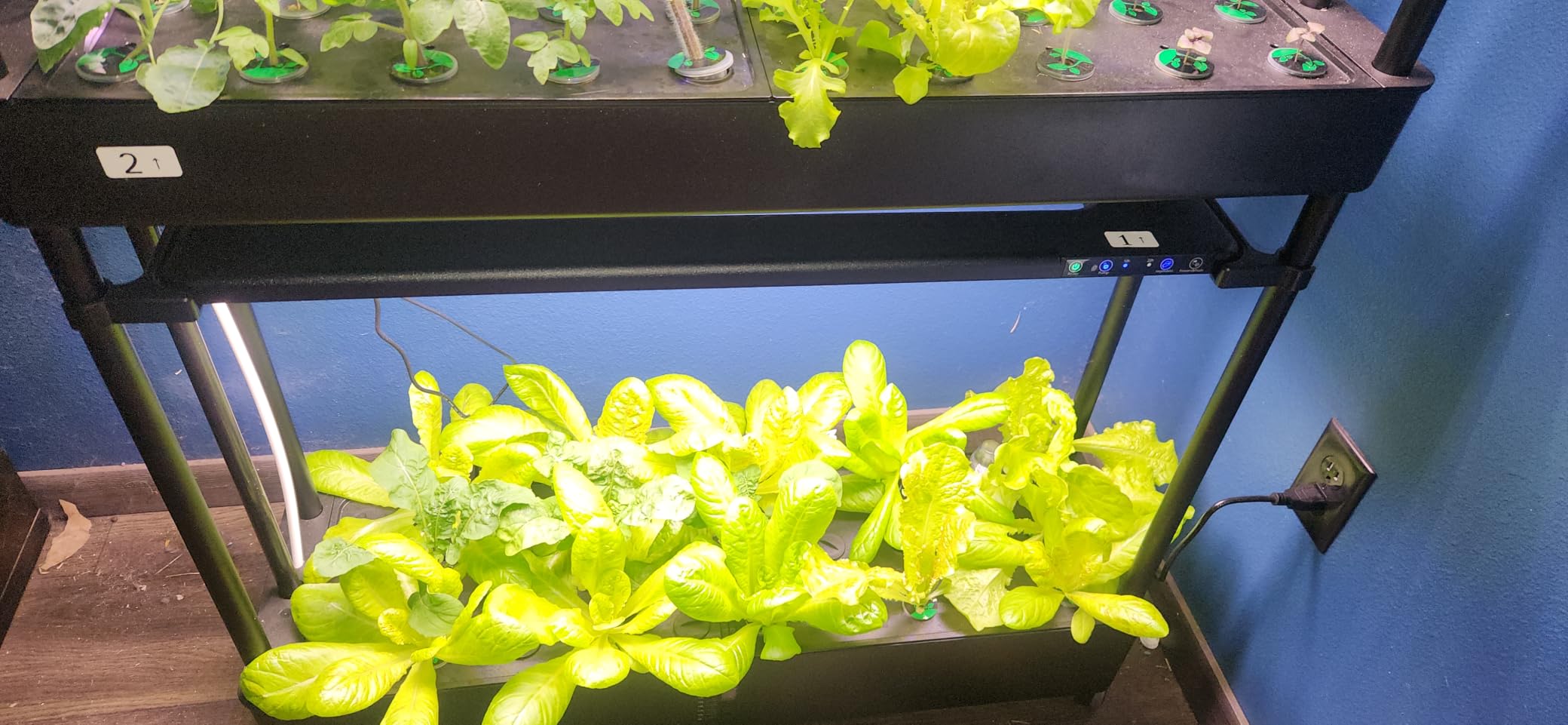 Growell 90 Pods Large Hydroponics Growing System Kit, Indoor Herb Garden | Vertical Hydro Garden with 2 Light Modes & 2 Timer, Smart Water Circulation, 40L Water Tank, Movable with 4 Swivel Casters customer photo 1