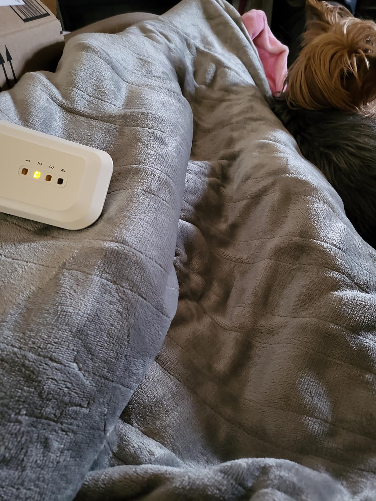 GENIANI Heated Blanket Electric Throw 50