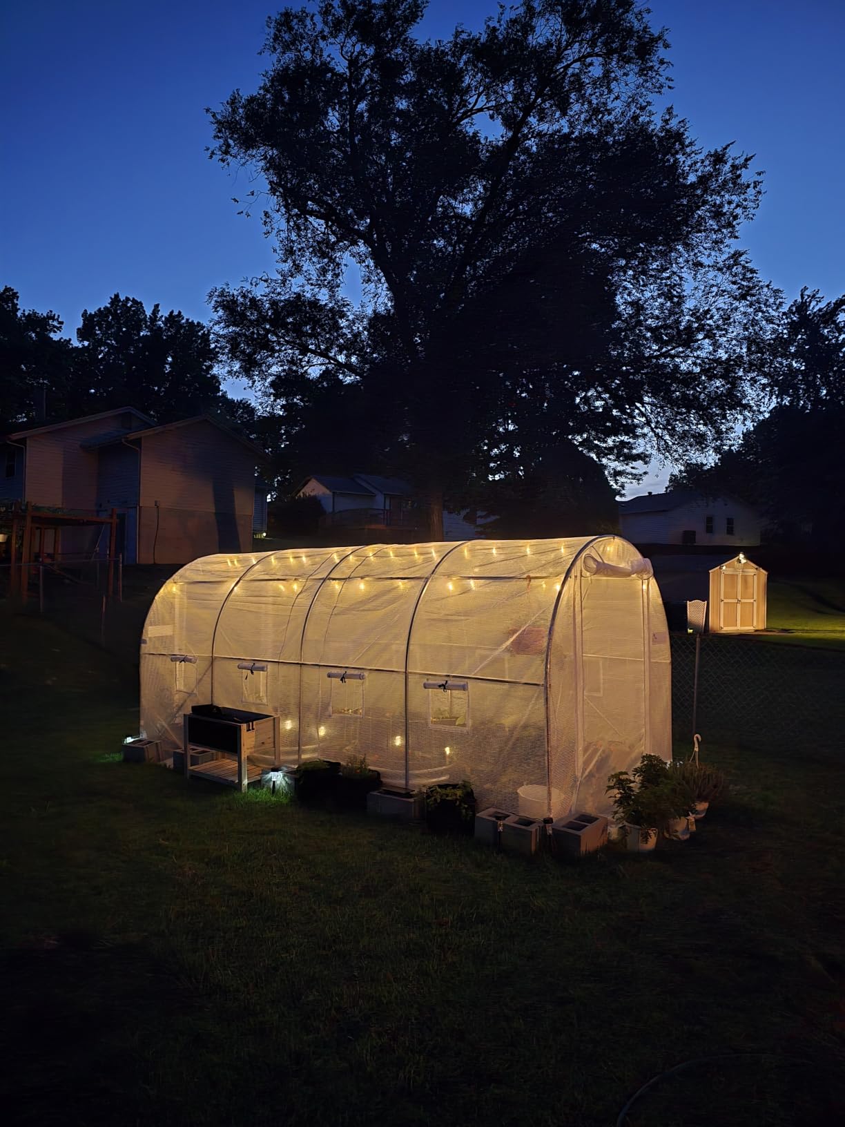 KING BIRD Premium 15x7x7FT Greenhouse for Outdoors, Galvanized Steel Frame | Screen Mesh Door Window Plastic Cover, Upgraded Walk-in Zipper Small Portable Tunnel Hoop House for Outside, White customer photo 1
