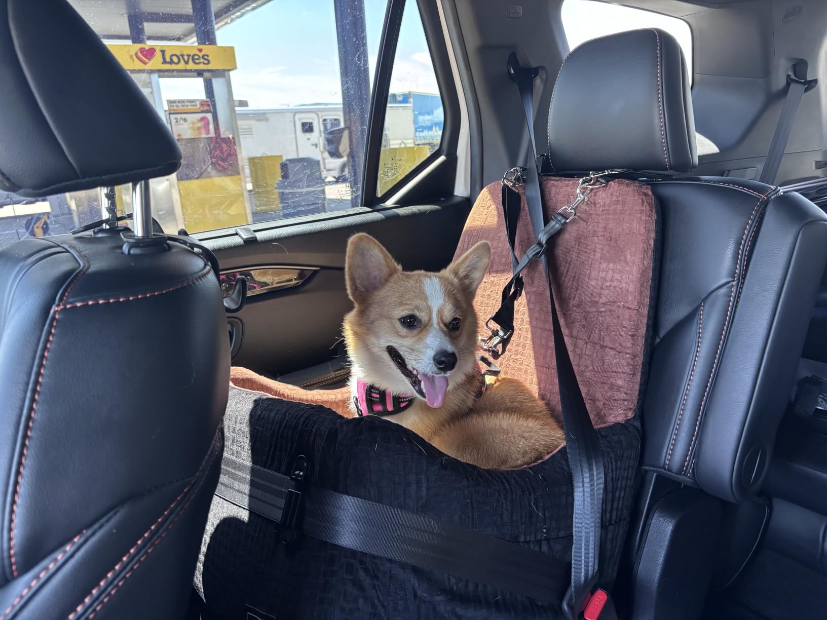 PETSFIT Dog Booster Car Seat for Small/Medium Dogs Up to 35 lbs - Patented Safety System, 5